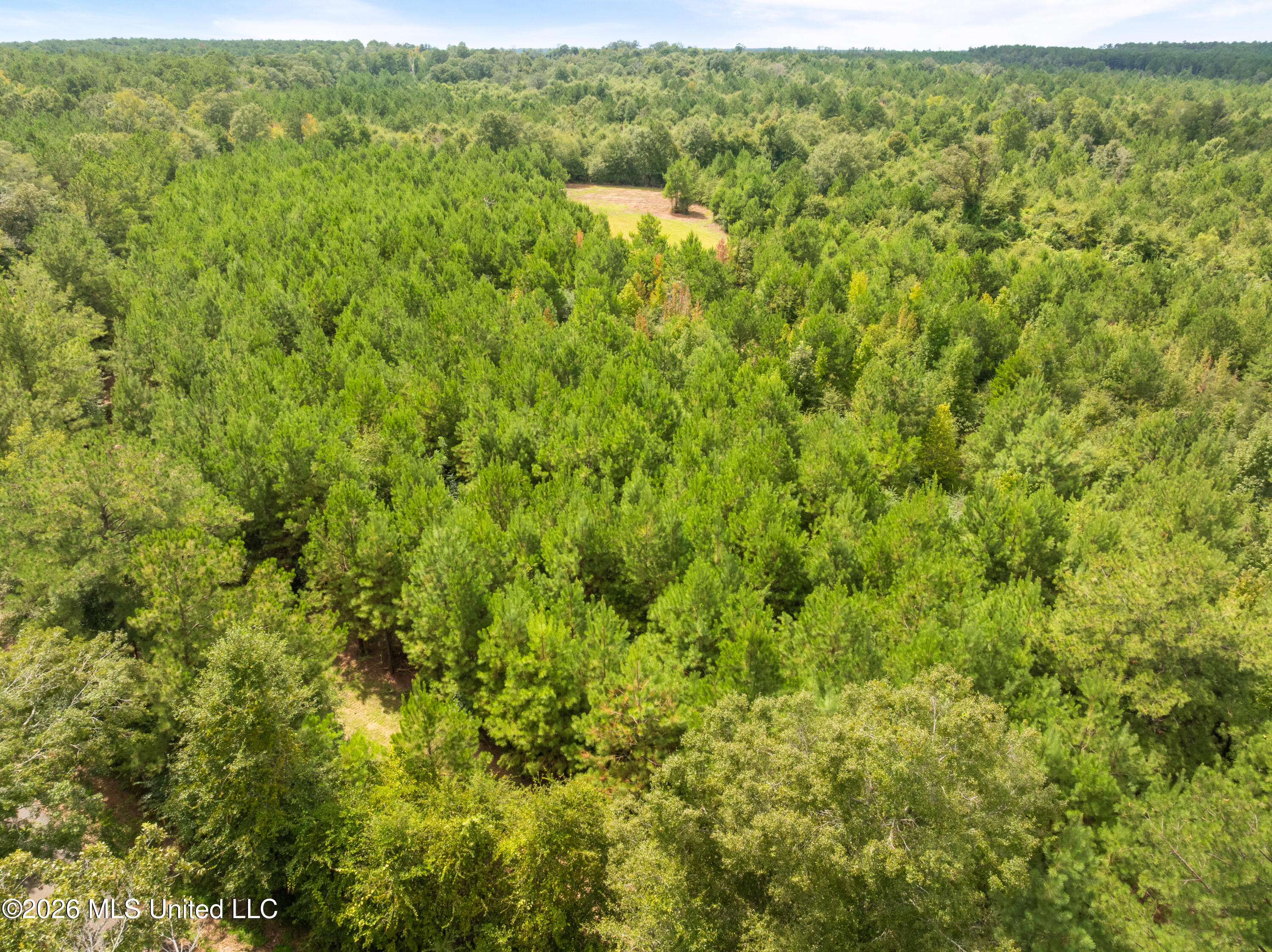 2705 Pilgrims Rest Road Property Photo 30