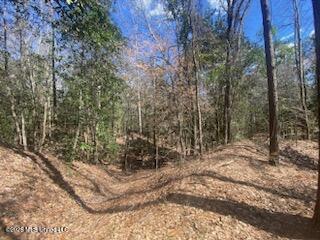 Turkey Creek Road Property Photo 1
