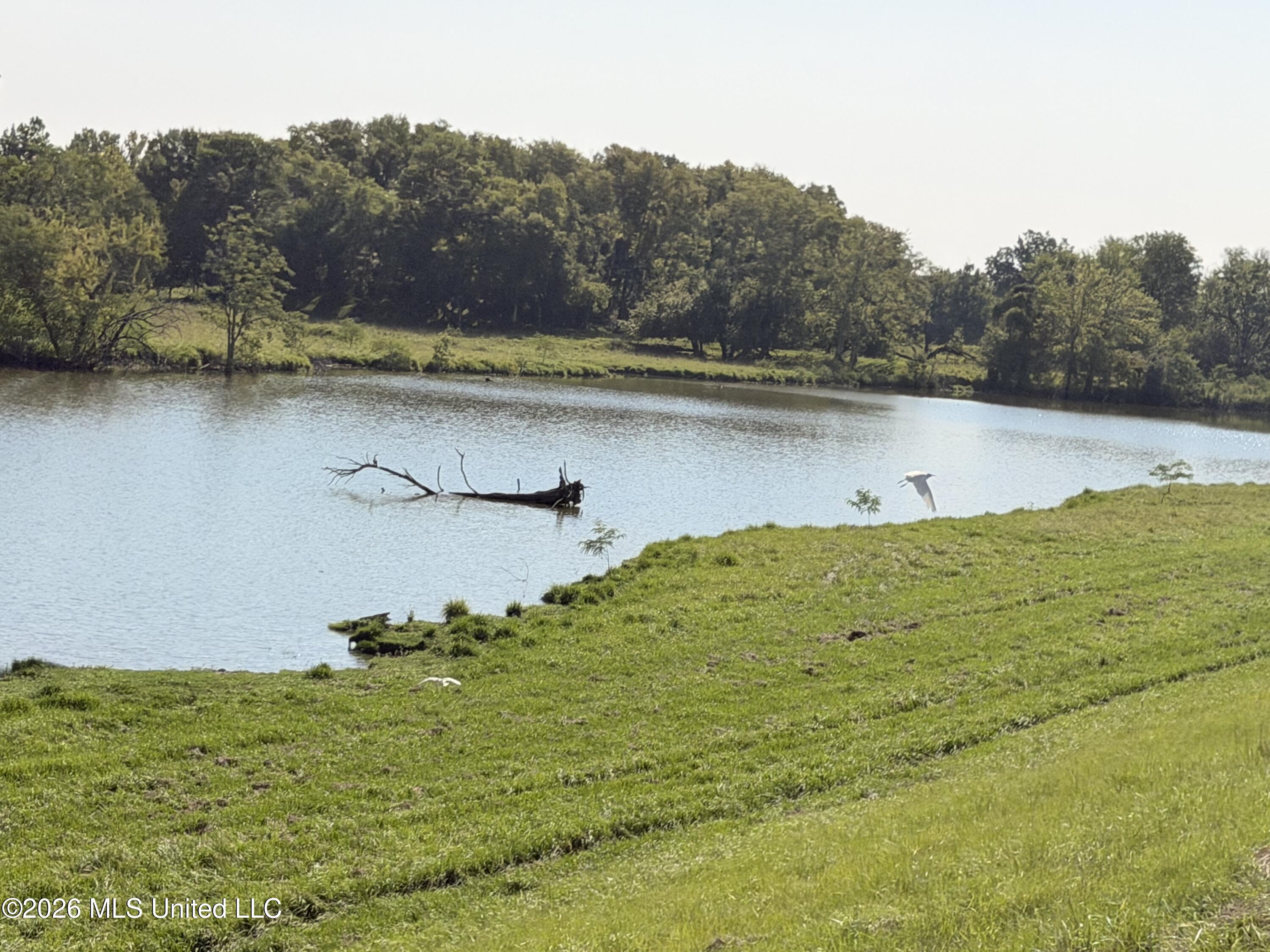 State Route 105 Property Photo 6