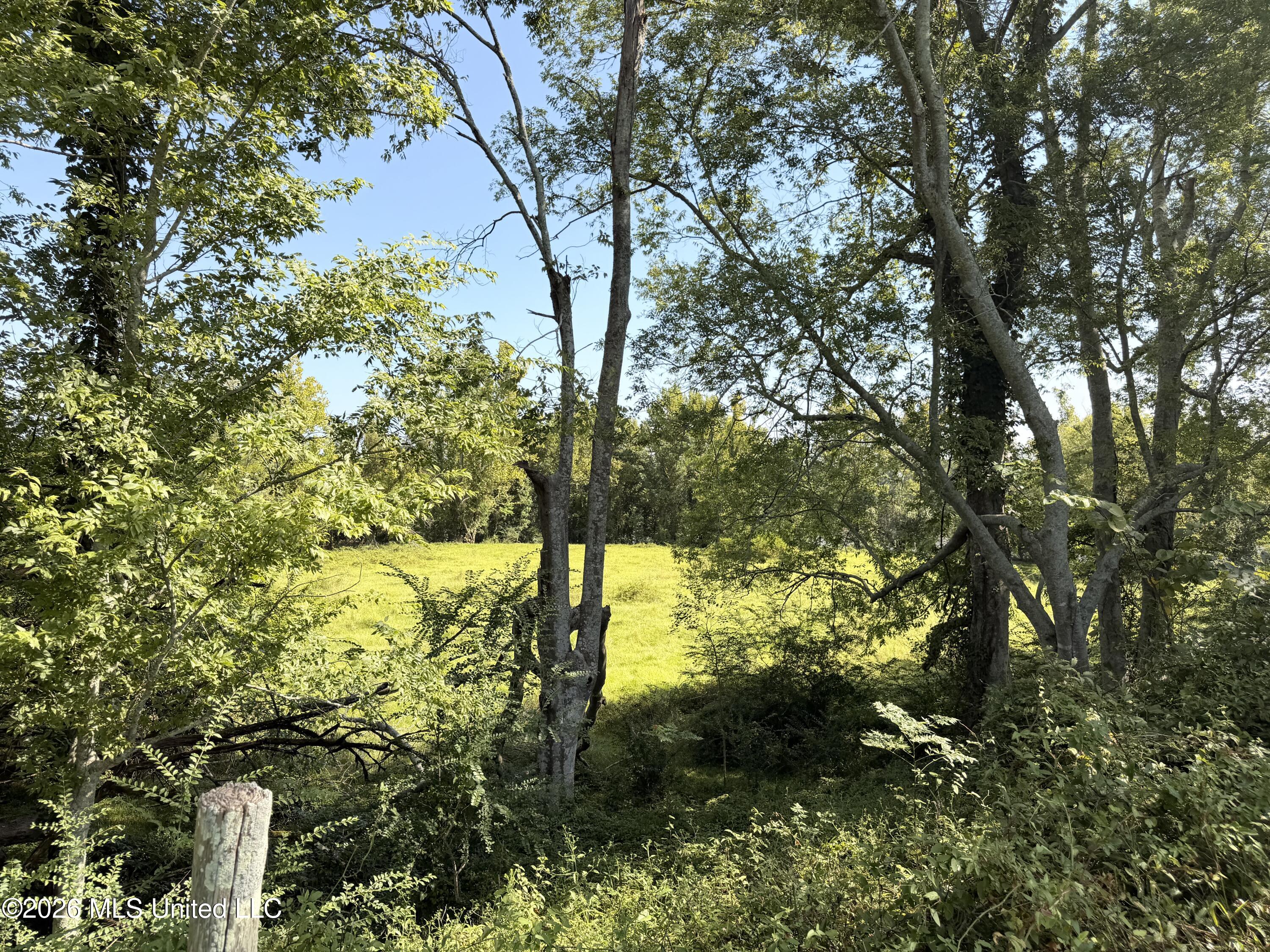 State Route 105 Property Photo 9