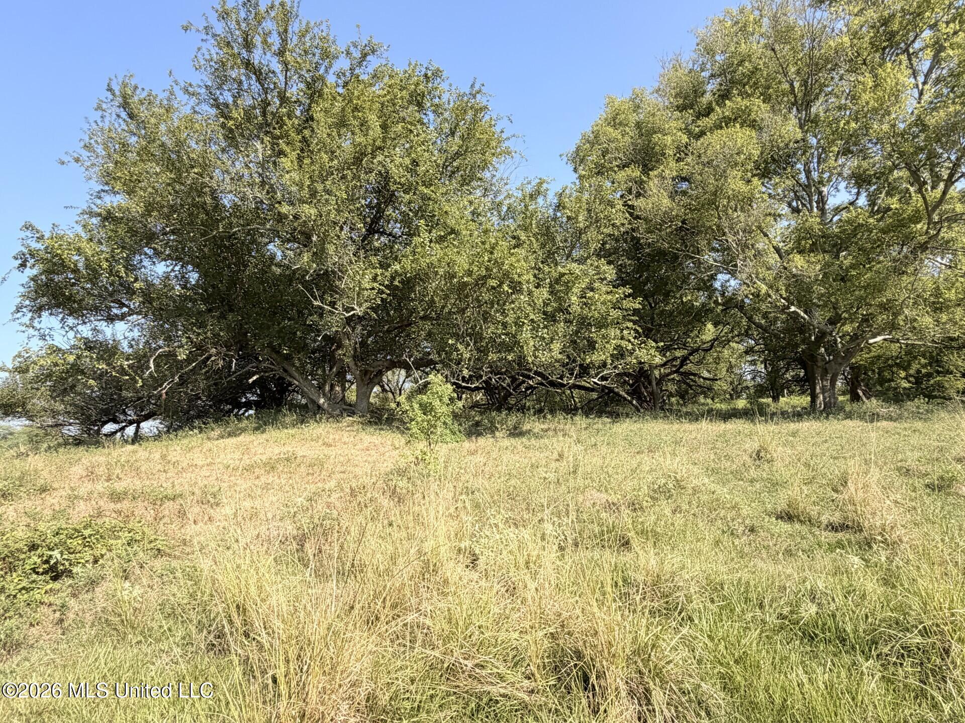 State Route 105 Property Photo 12