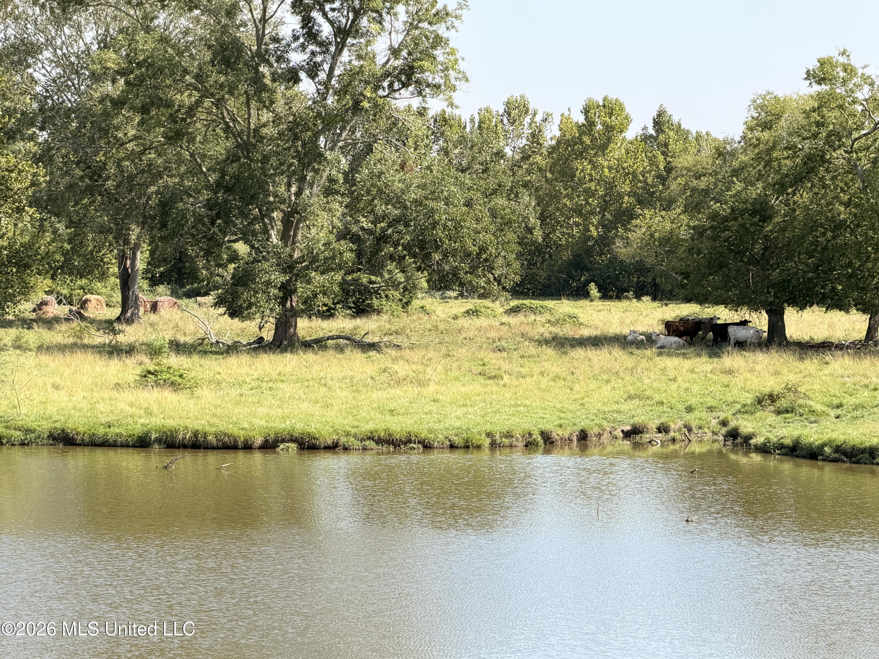 State Route 105 Property Photo 24