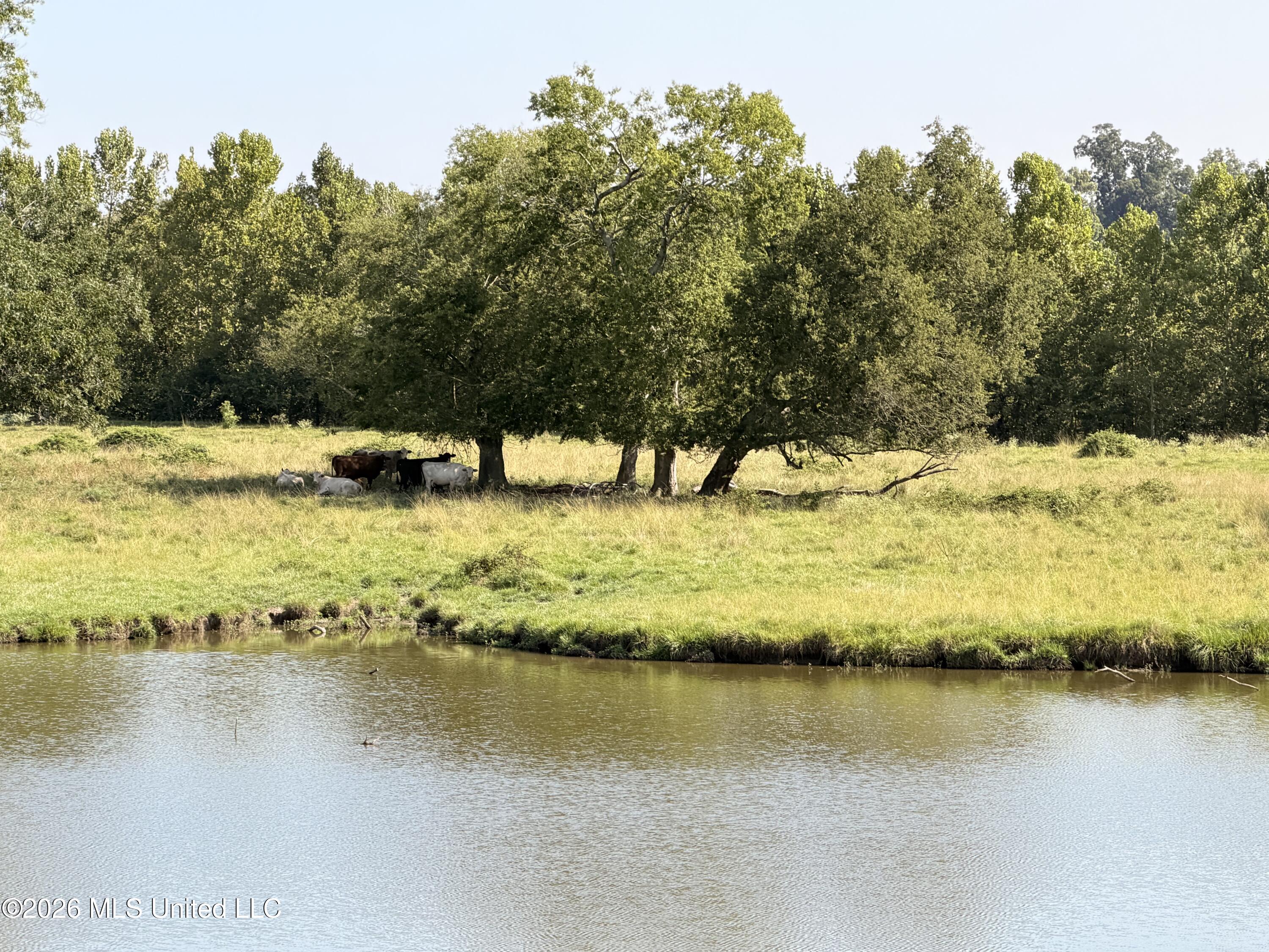 State Route 105 Property Photo 25