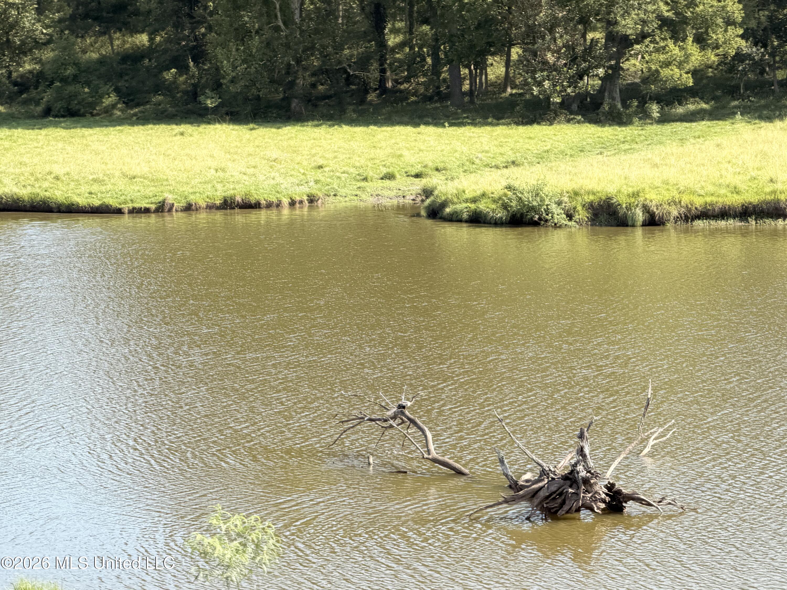 State Route 105 Property Photo 26
