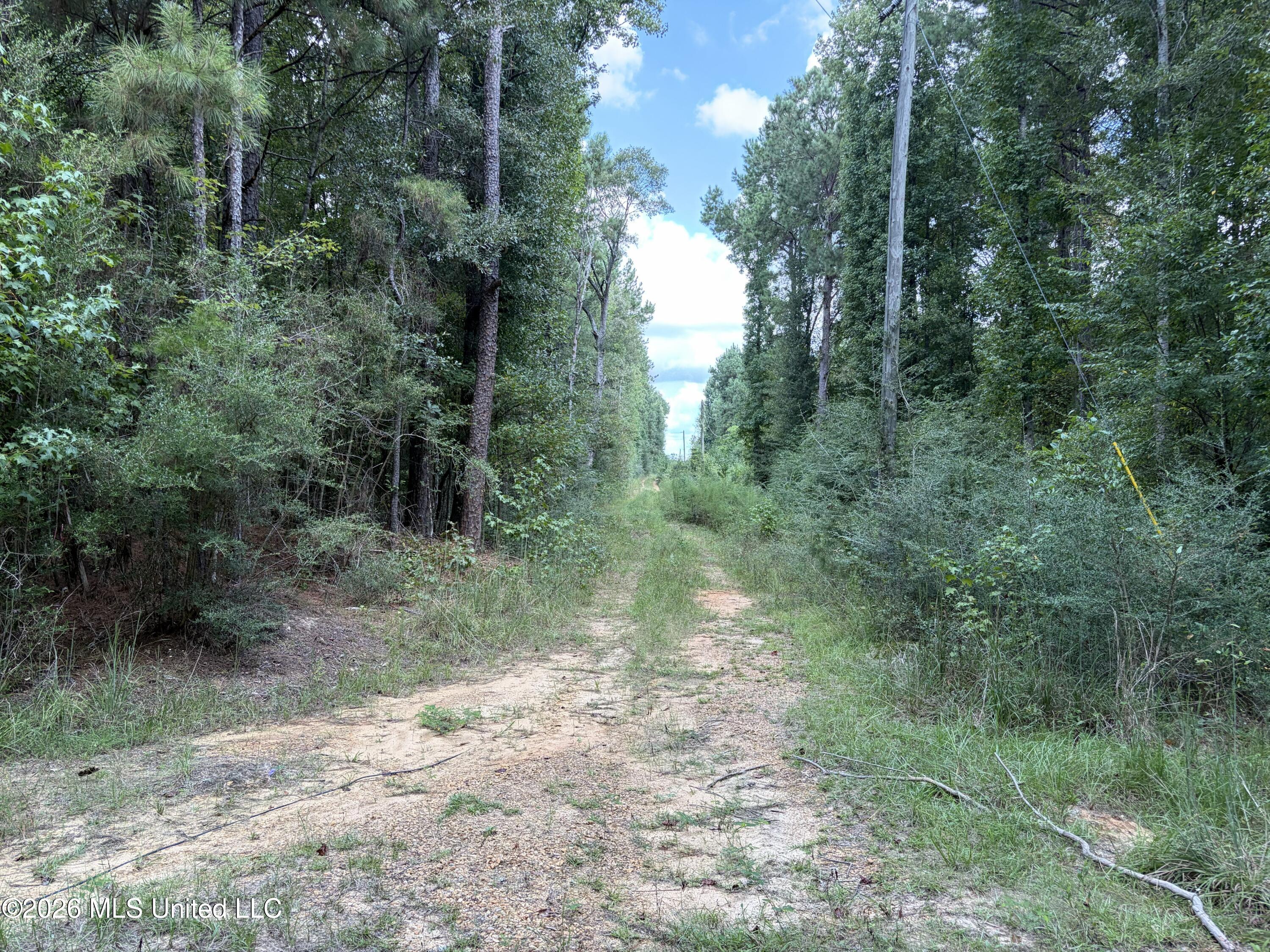 1059 Candy Lane Property Photo 2