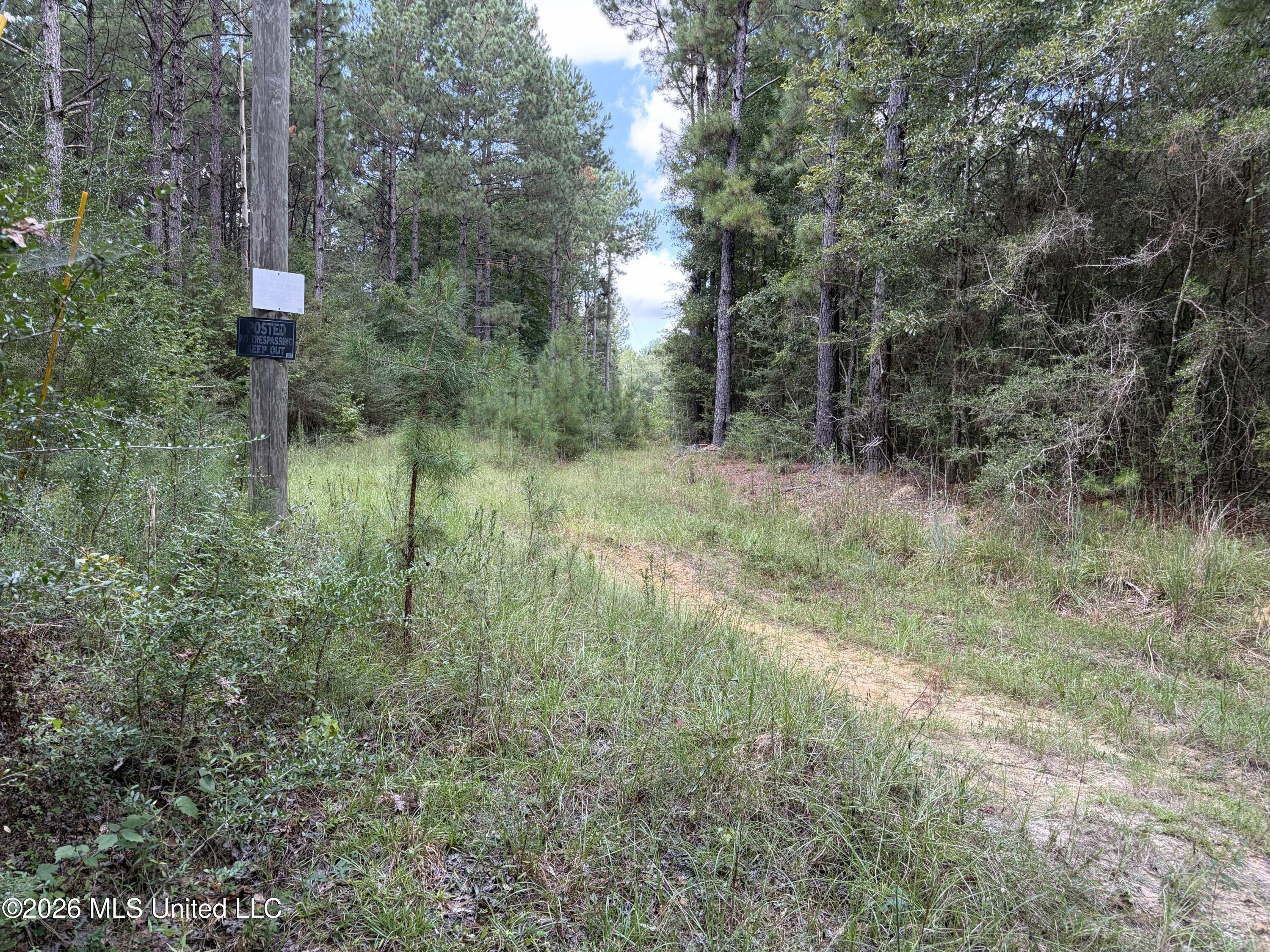 1059 Candy Lane Property Photo 3