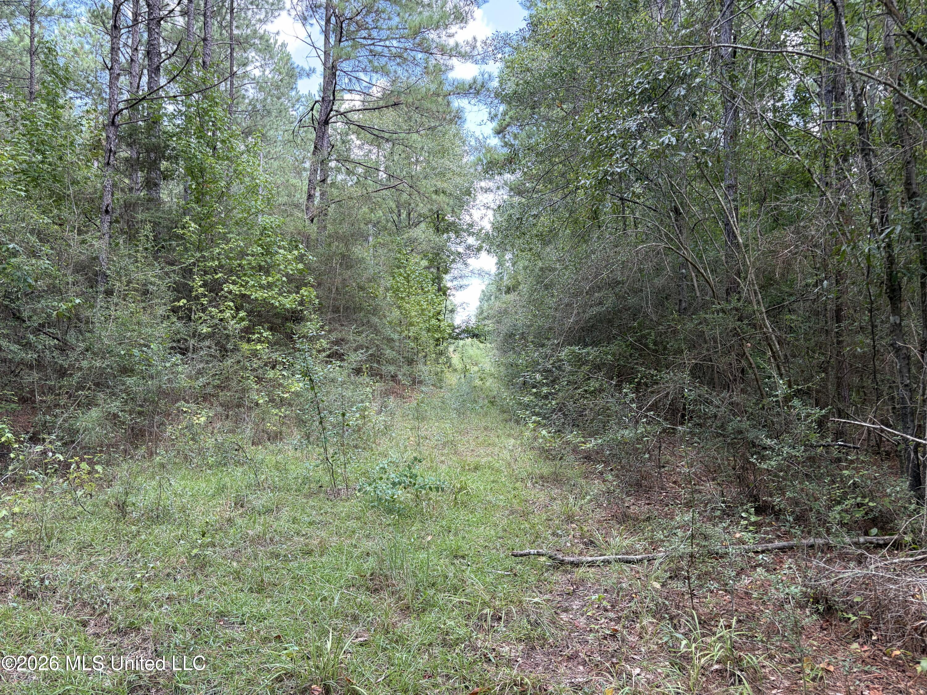 1059 Candy Lane Property Photo 4