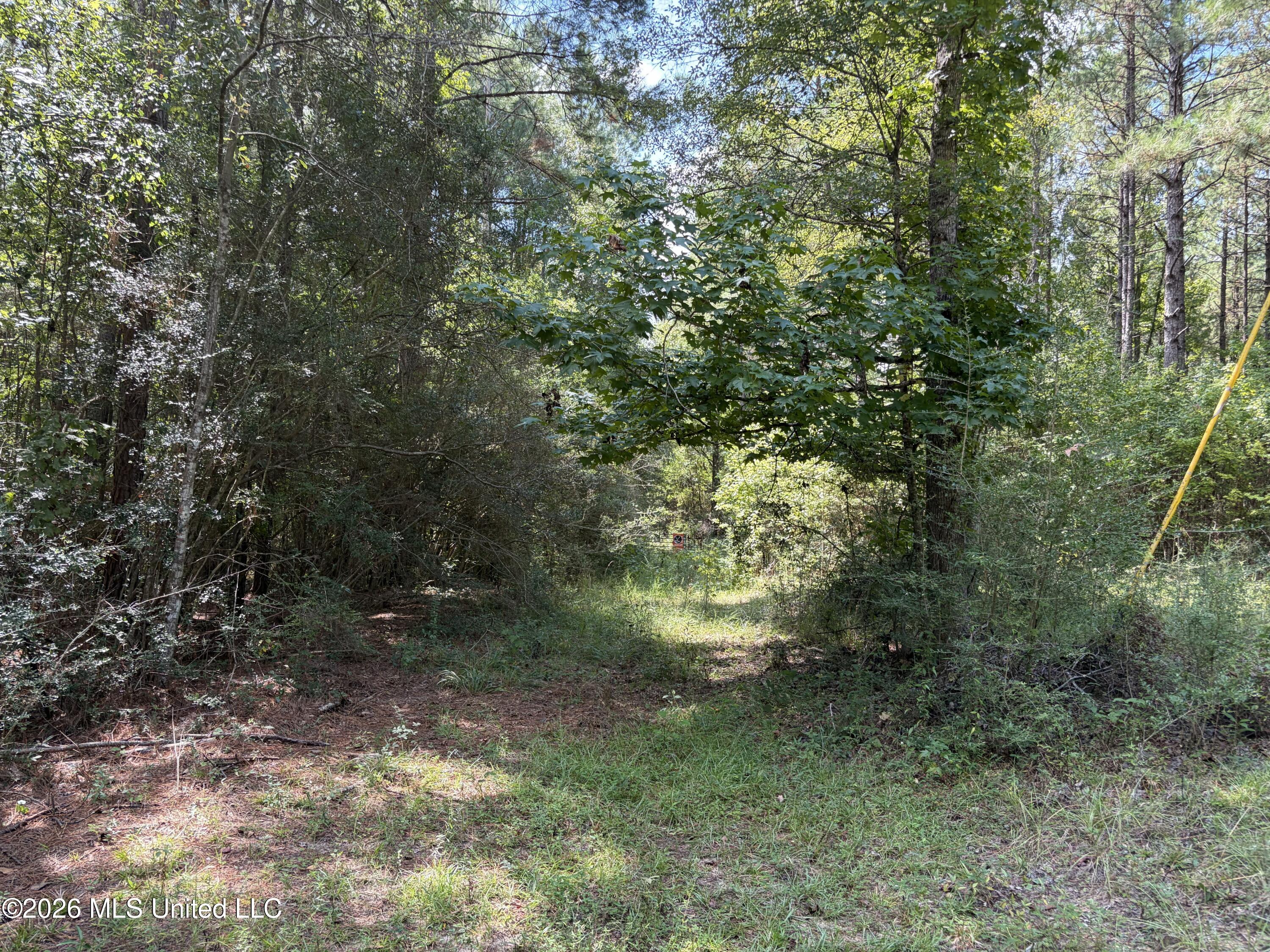 1059 Candy Lane Property Photo 6