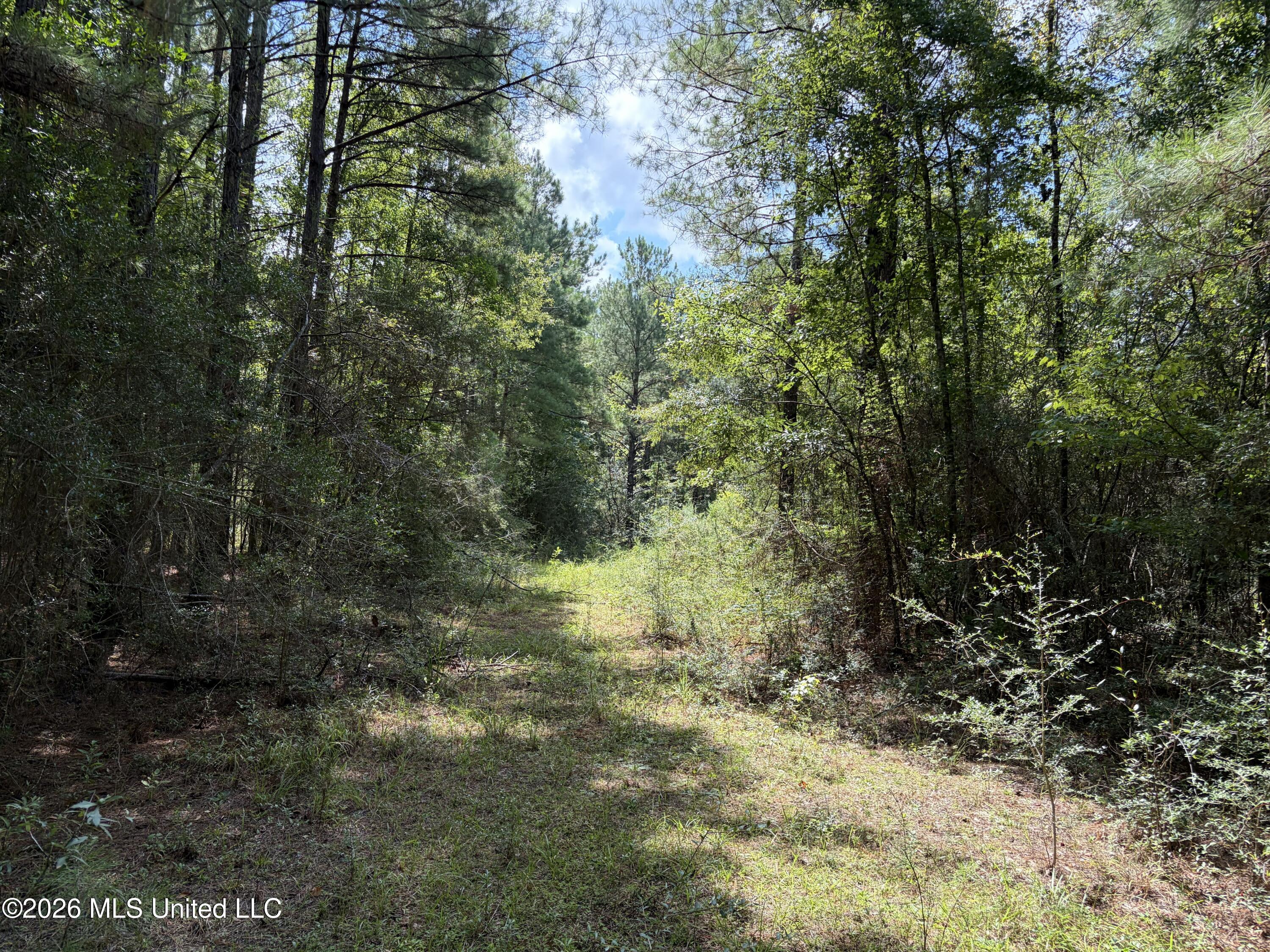 1059 Candy Lane Property Photo 7