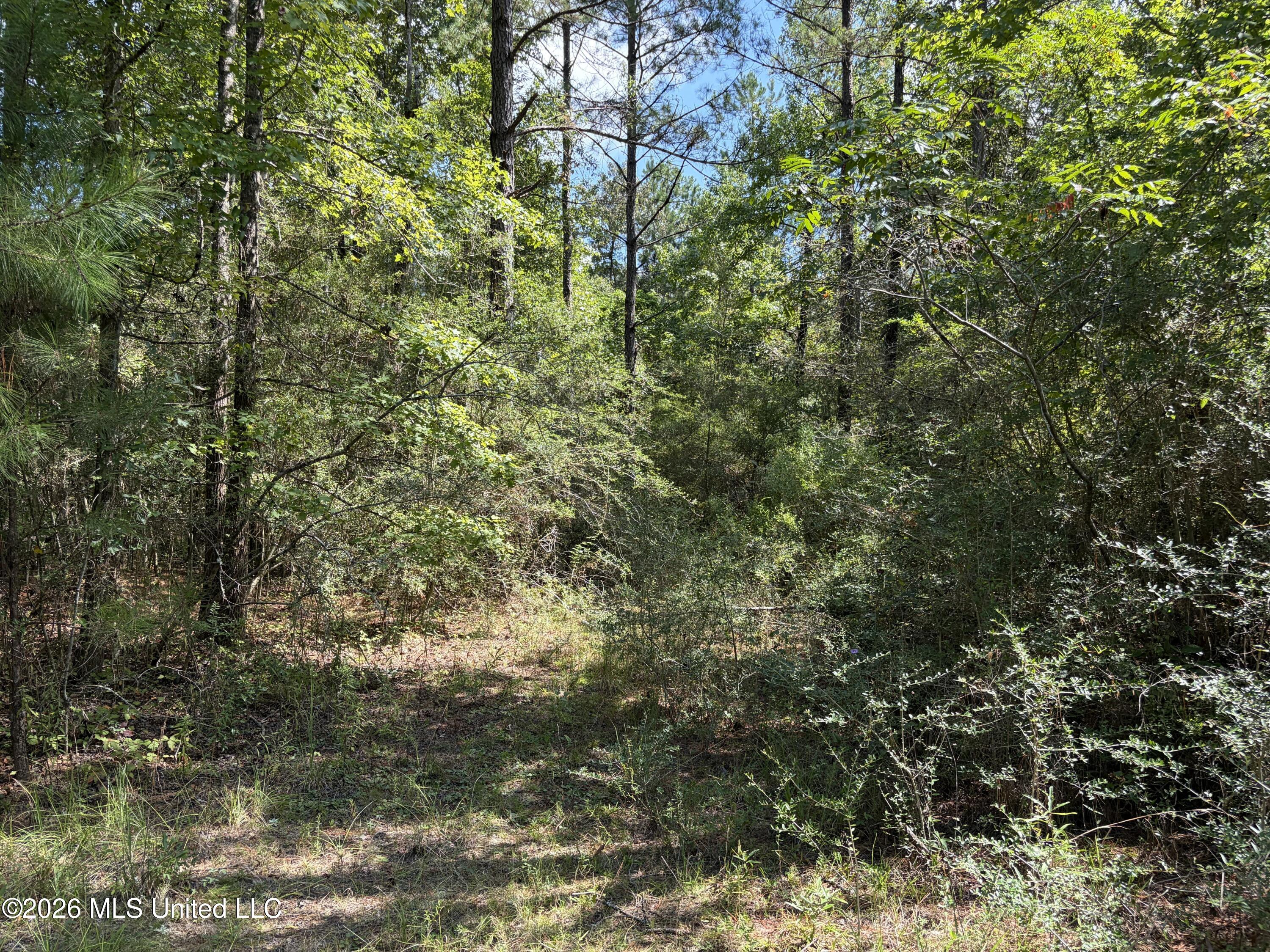 1059 Candy Lane Property Photo 8