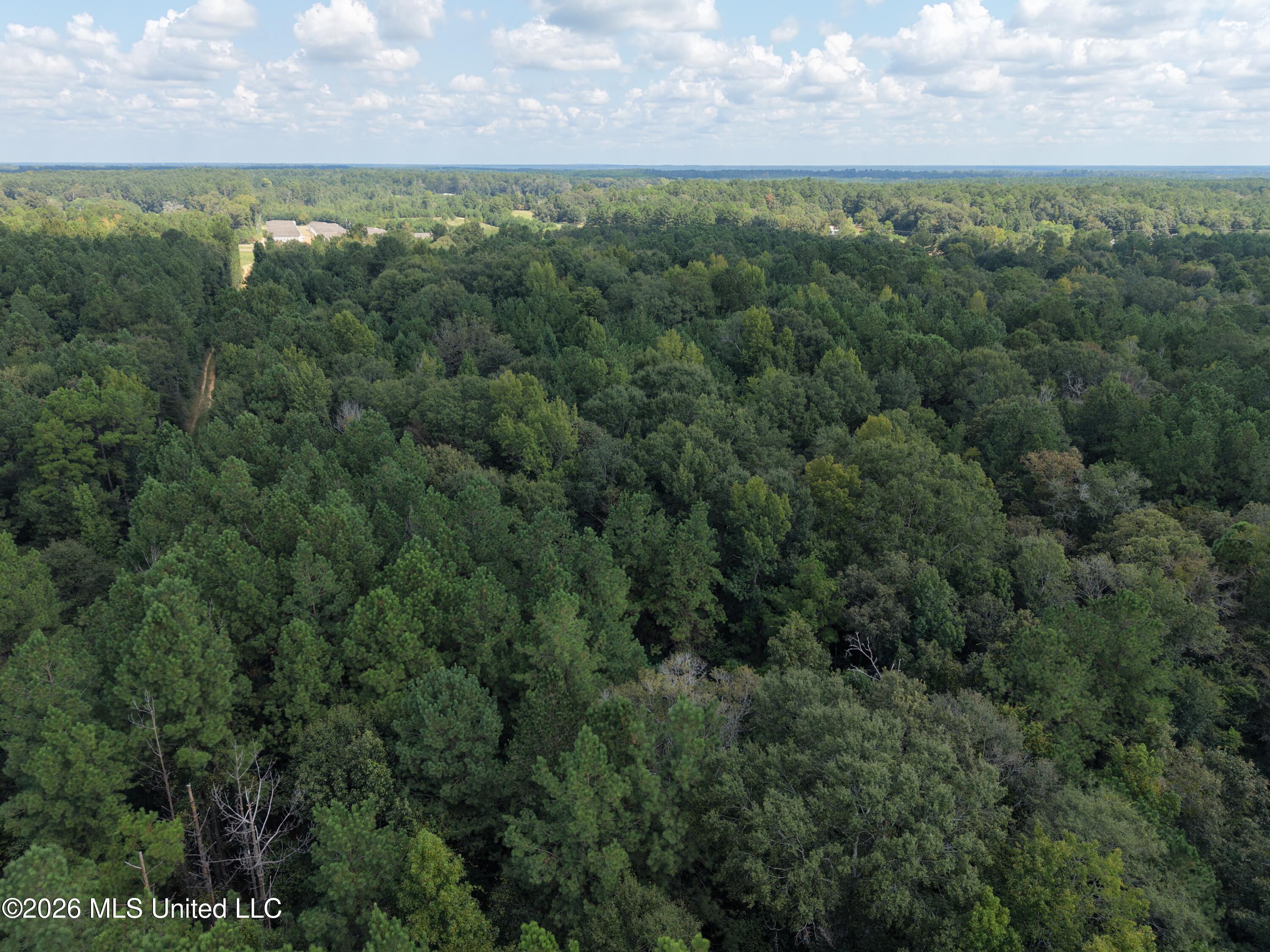 1059 Candy Lane Property Photo 10