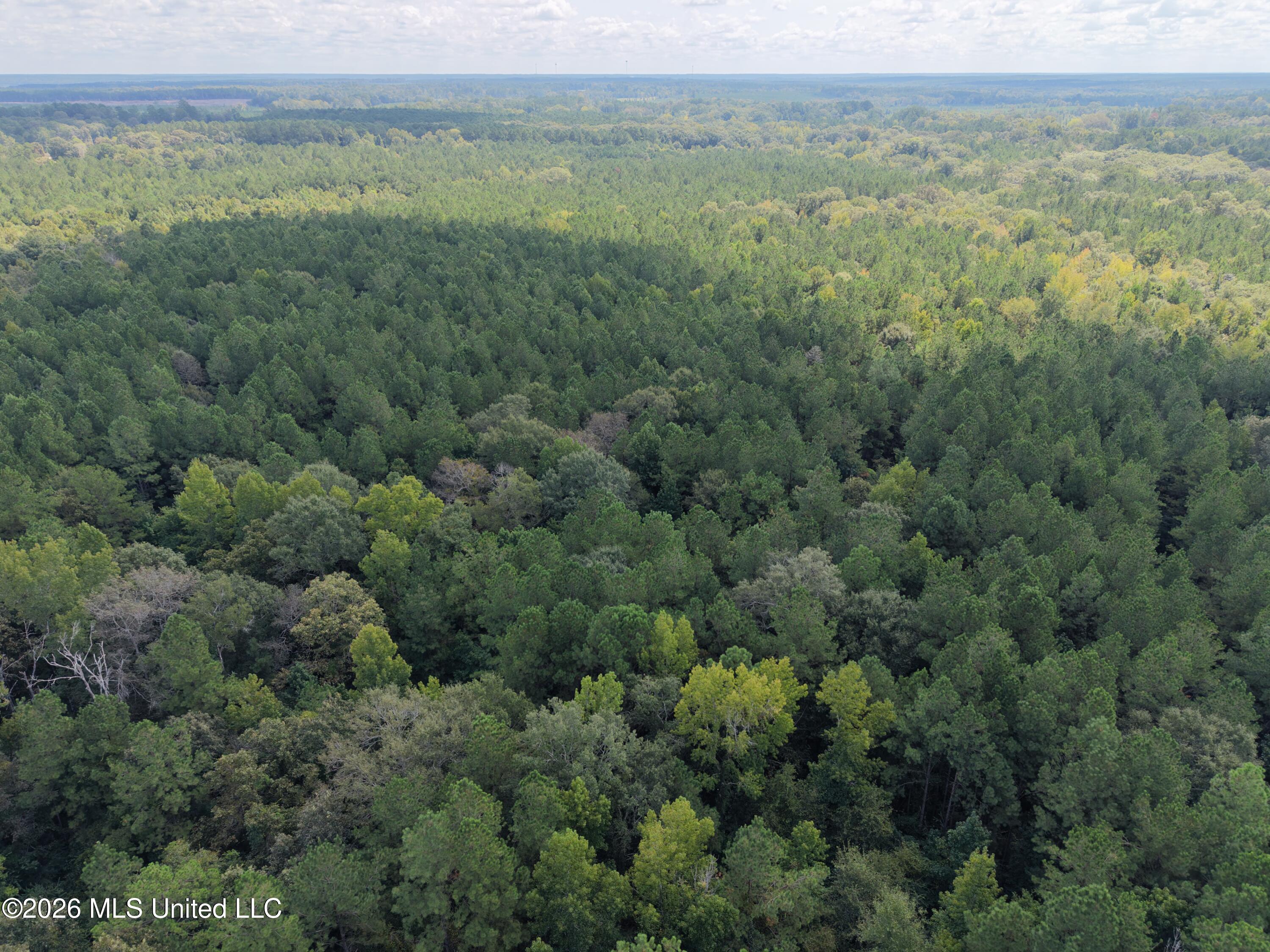 1059 Candy Lane Property Photo 11