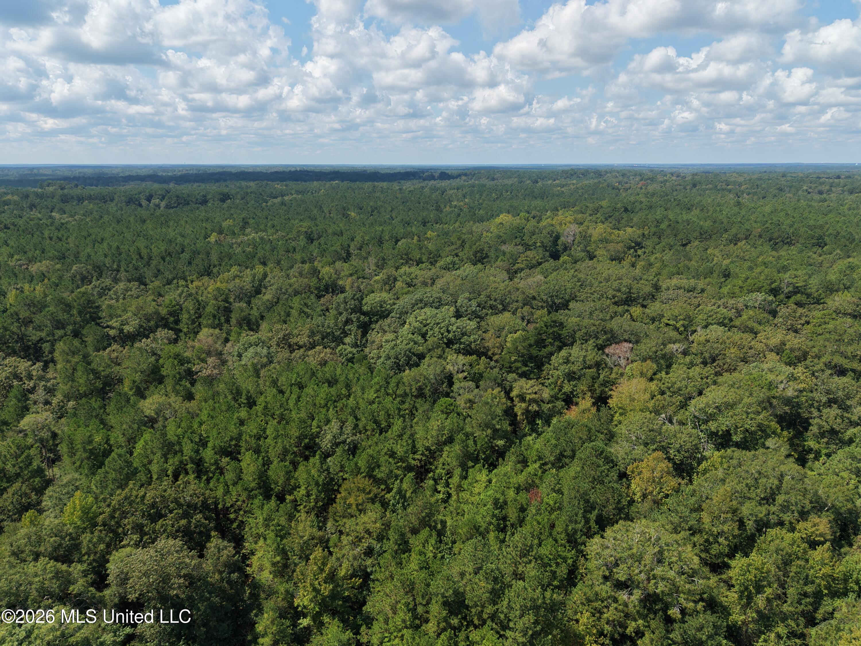 1059 Candy Lane Property Photo 15