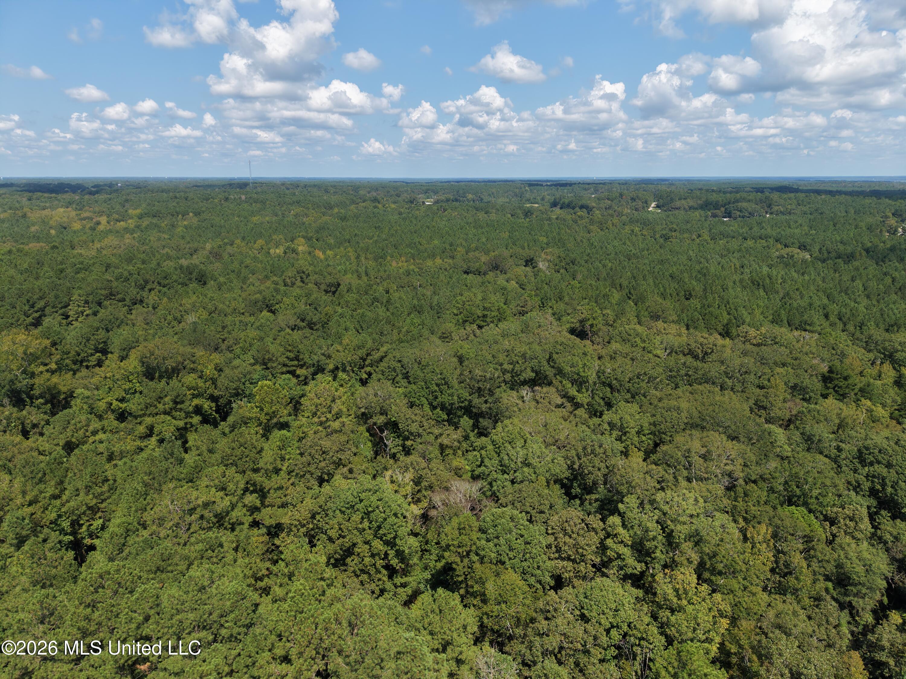 1059 Candy Lane Property Photo 16