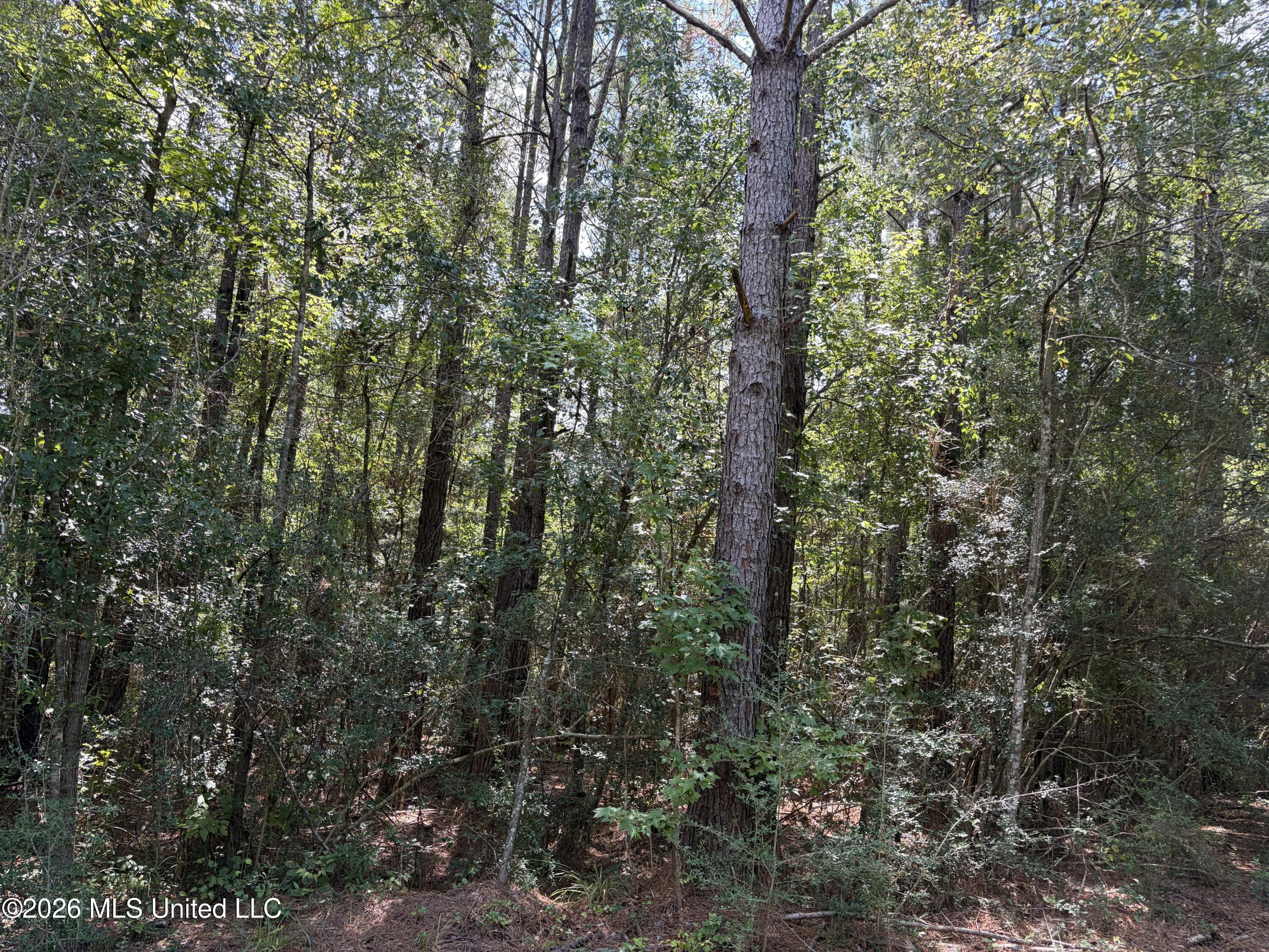 1059 Candy Lane Property Photo 24