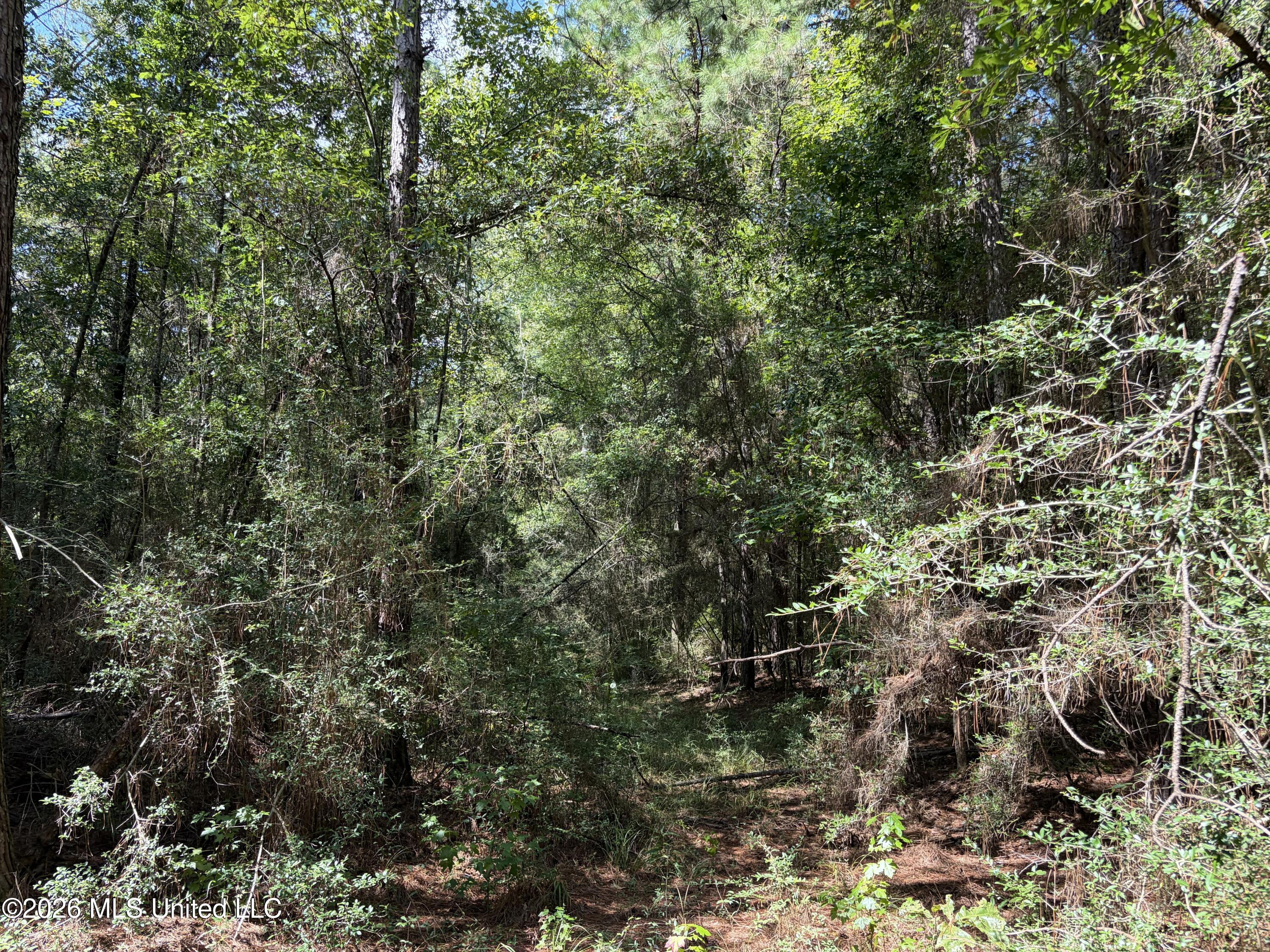 1059 Candy Lane Property Photo 25