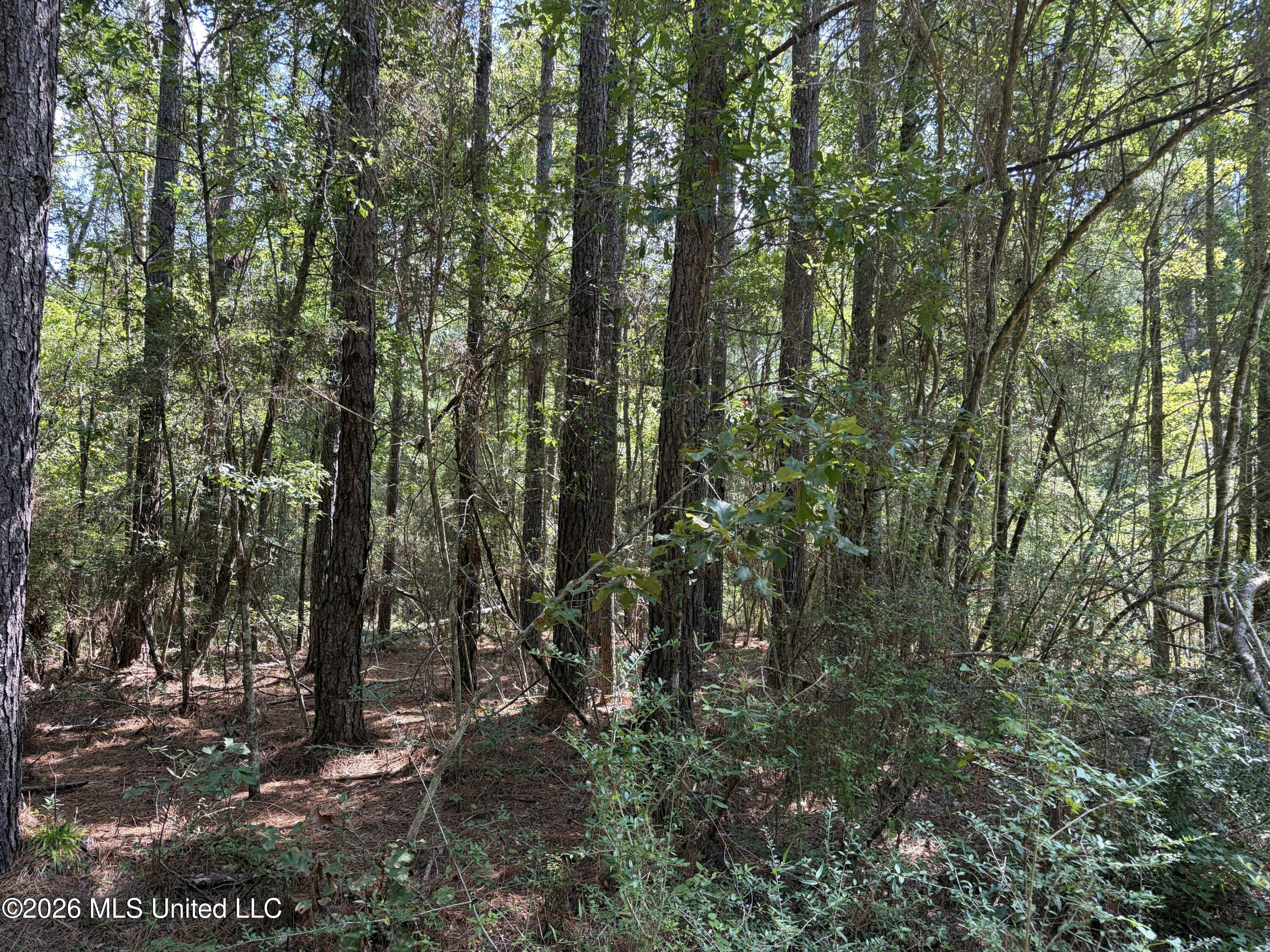 1059 Candy Lane Property Photo 26