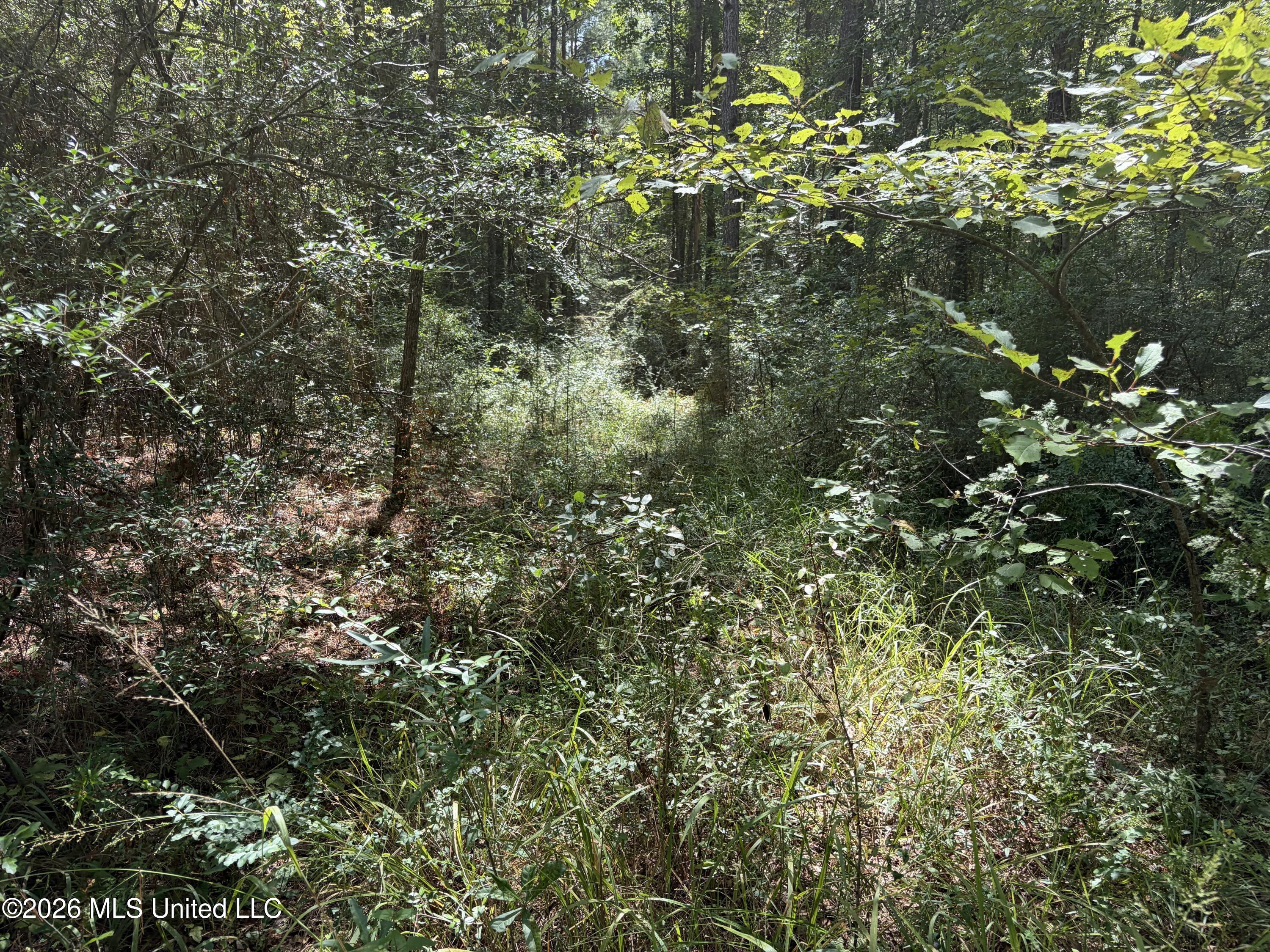 1059 Candy Lane Property Photo 27