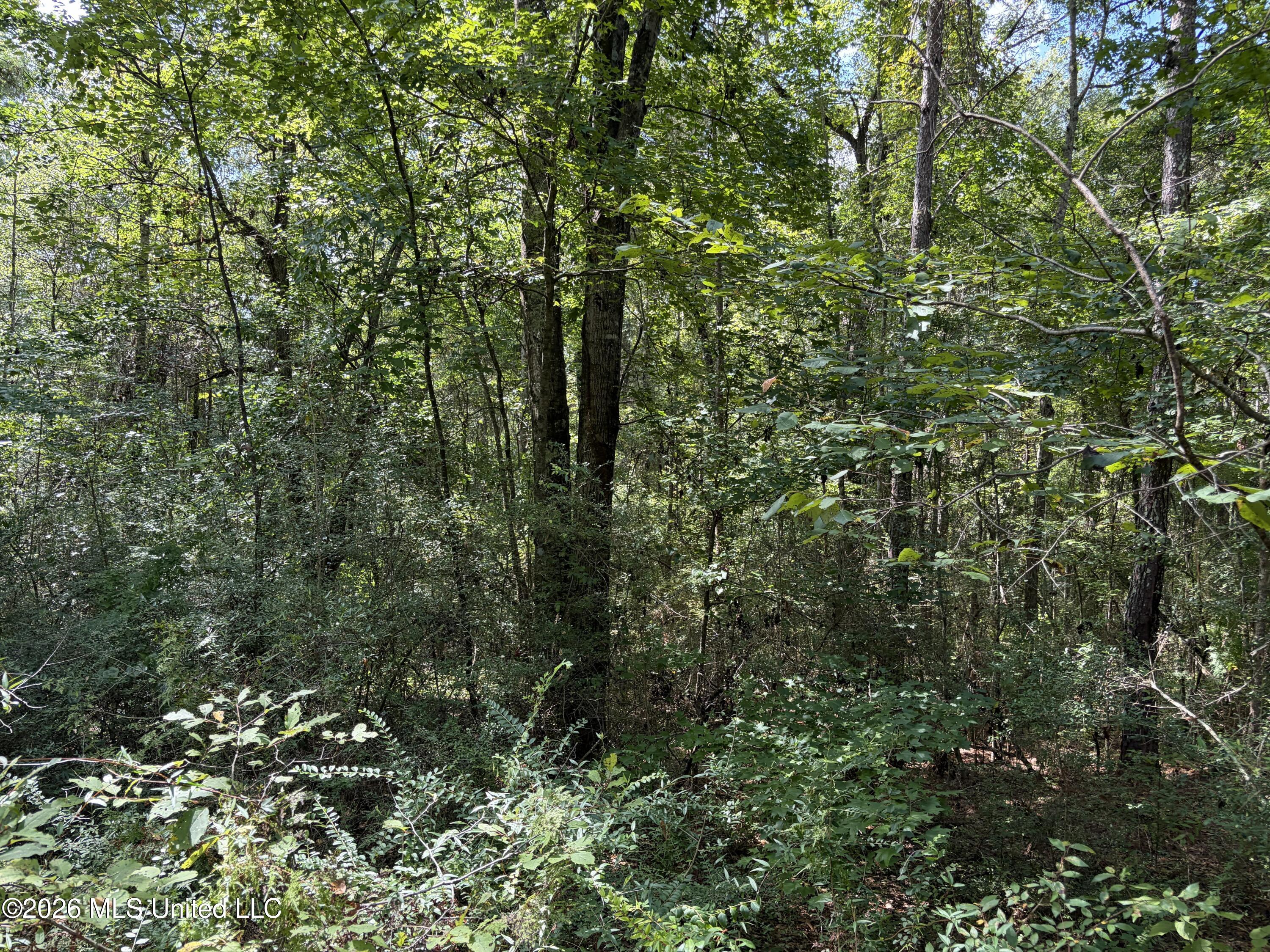 1059 Candy Lane Property Photo 28