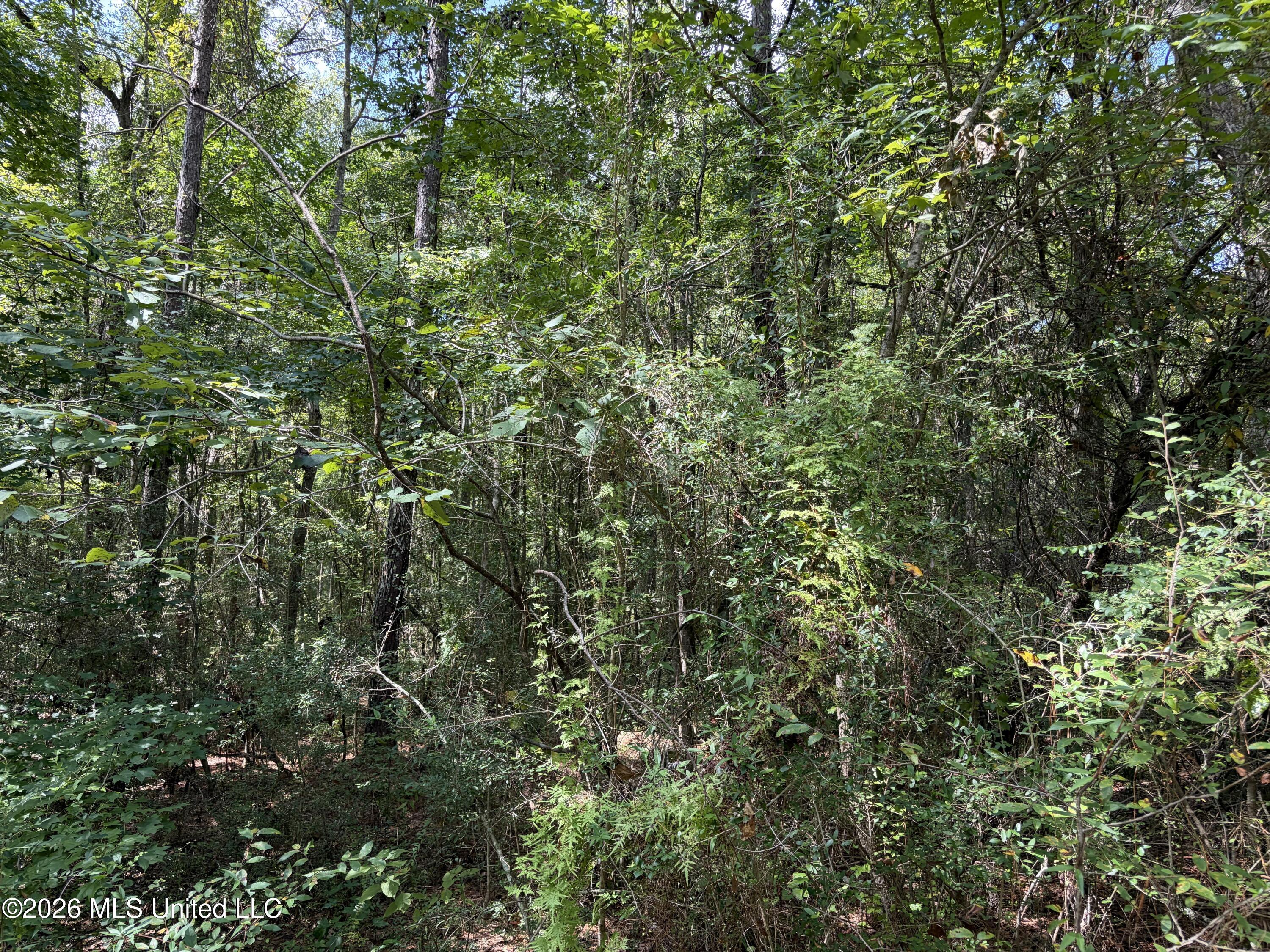 1059 Candy Lane Property Photo 29