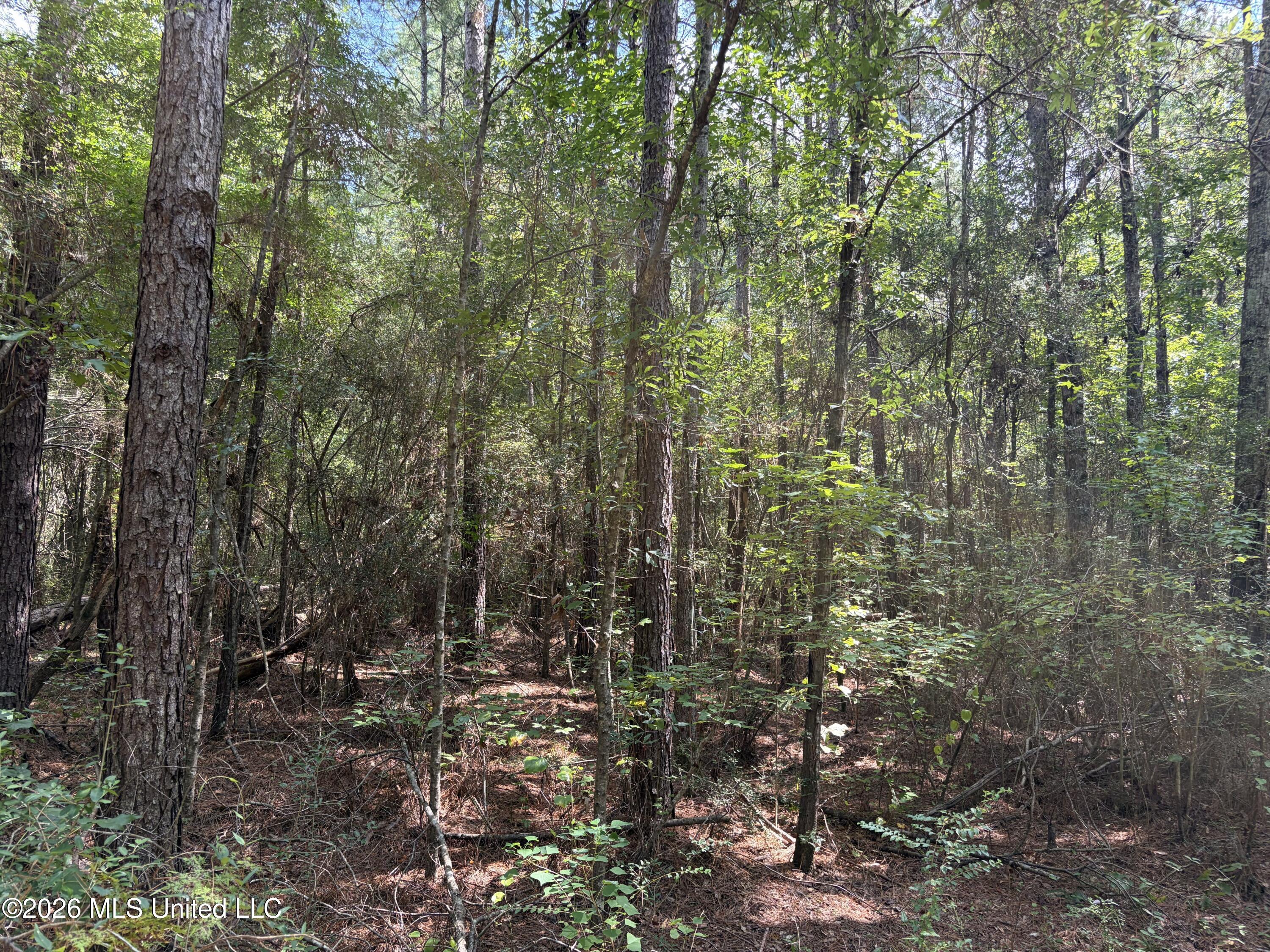 1059 Candy Lane Property Photo 30