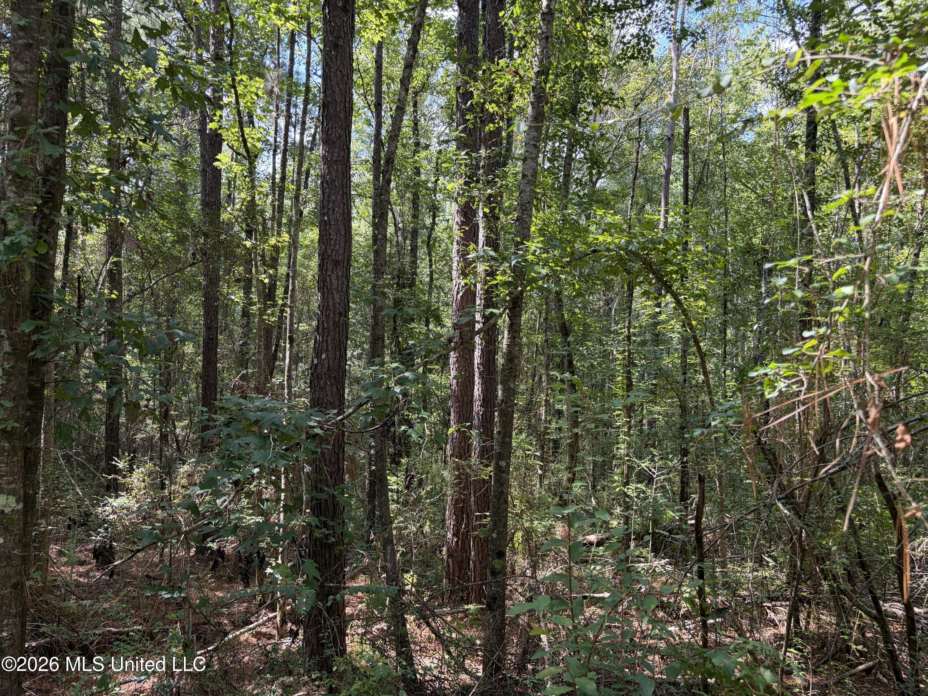 1059 Candy Lane Property Photo 31