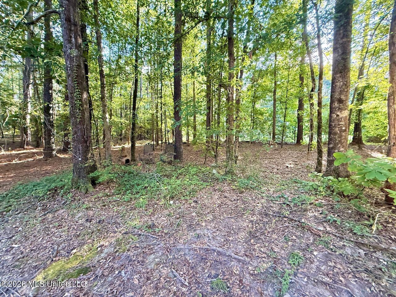 648 Springridge Trail Property Photo 79