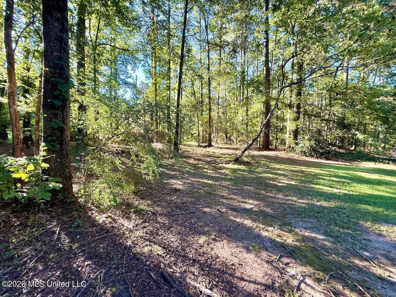 648 Springridge Trail Property Photo 81