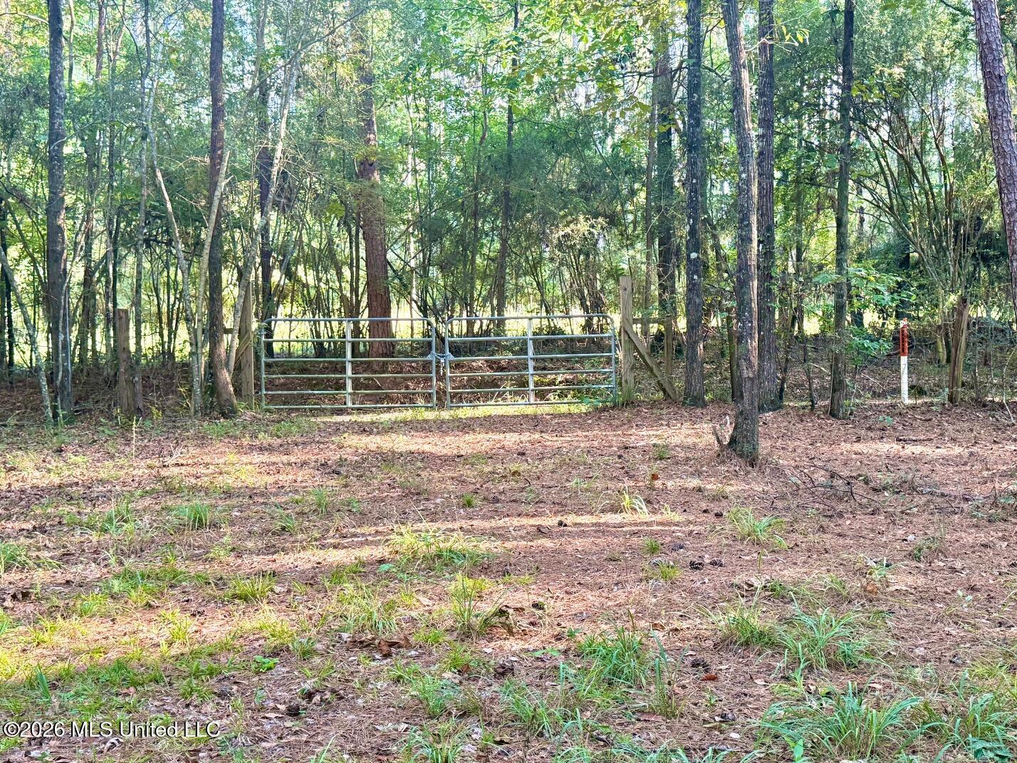 648 Springridge Trail Property Photo 82