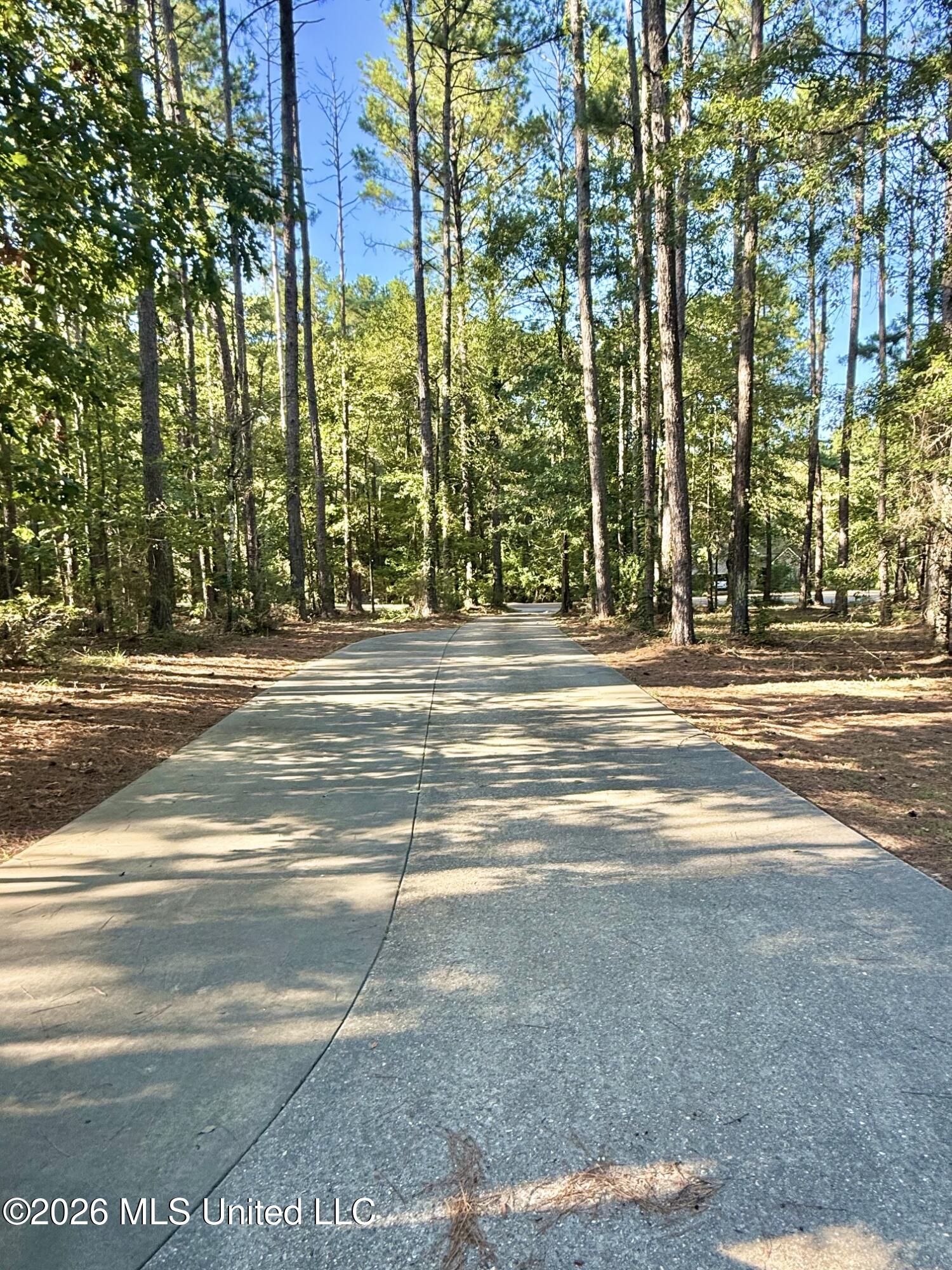 648 Springridge Trail Property Photo 88