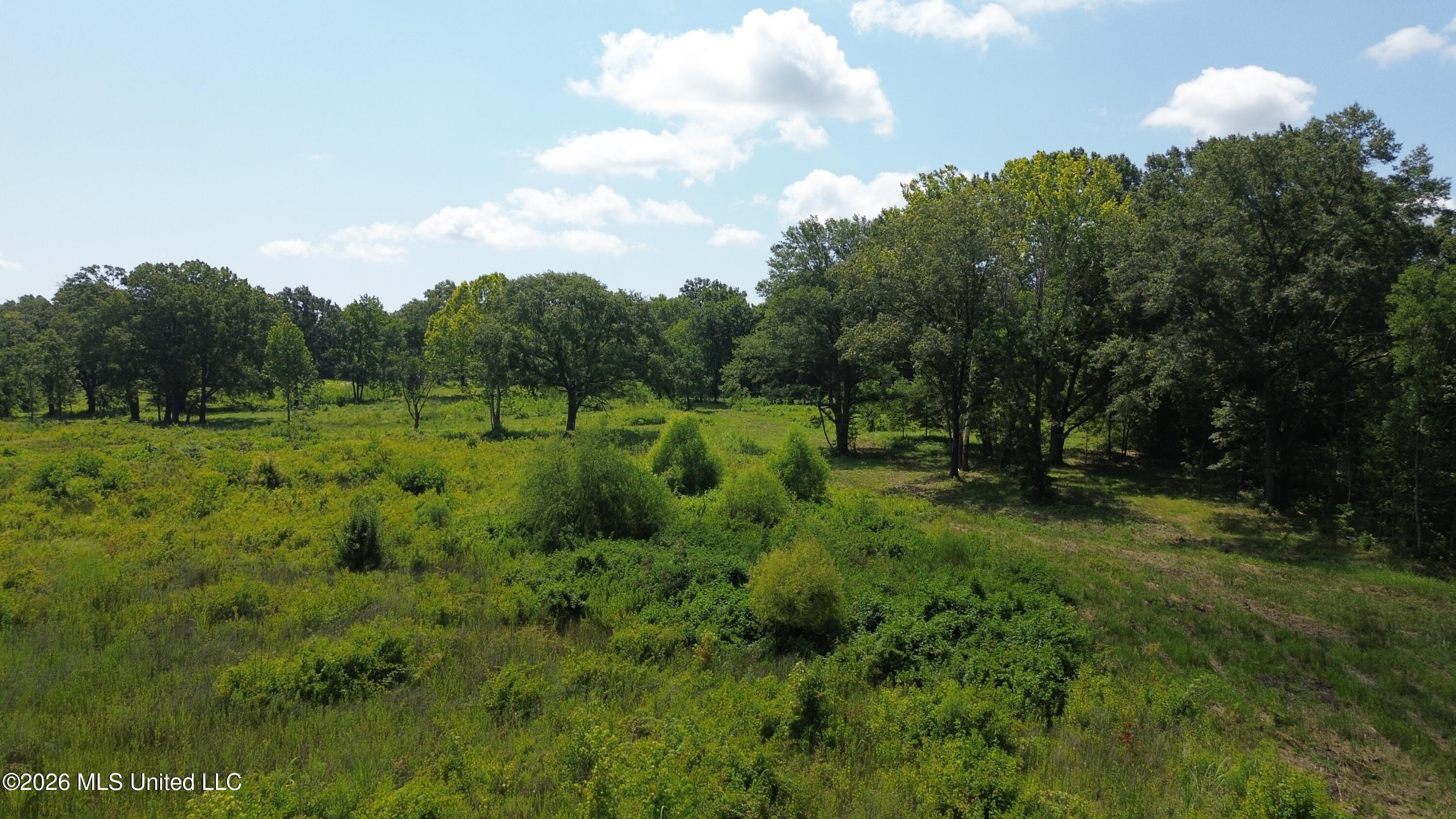 0 U.s. Highway 51 Property Photo 1