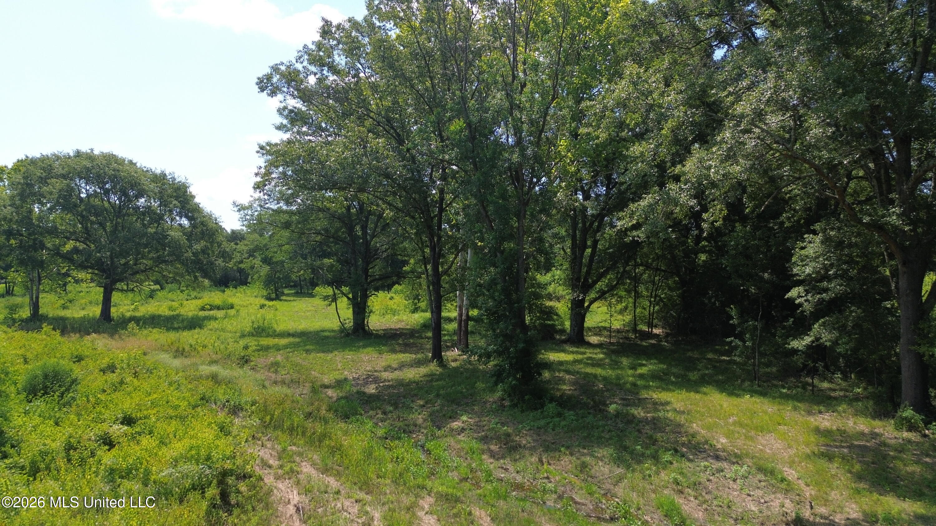 U.s. Highway 51 Property Photo 8