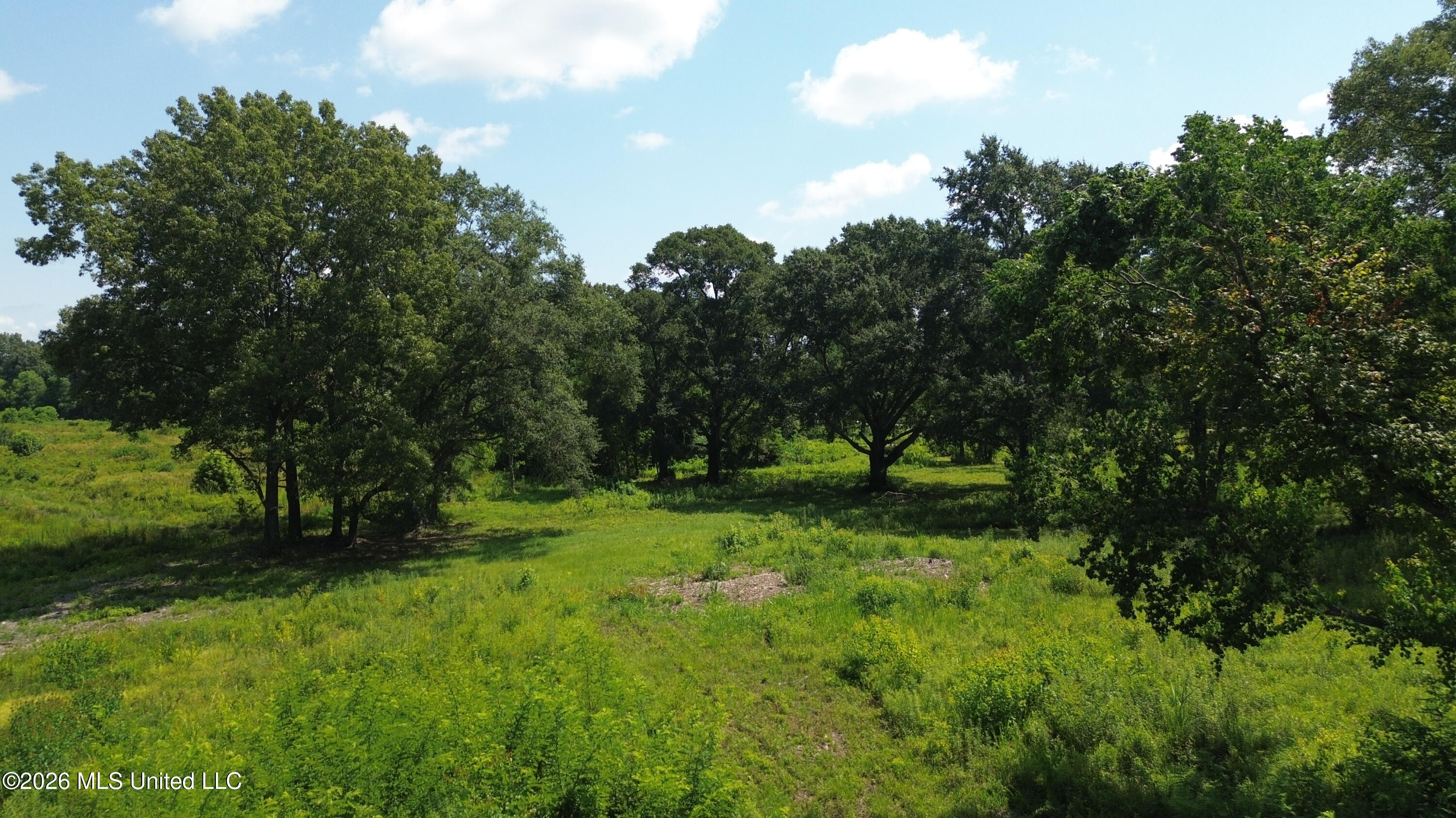U.s. Highway 51 Property Photo 10
