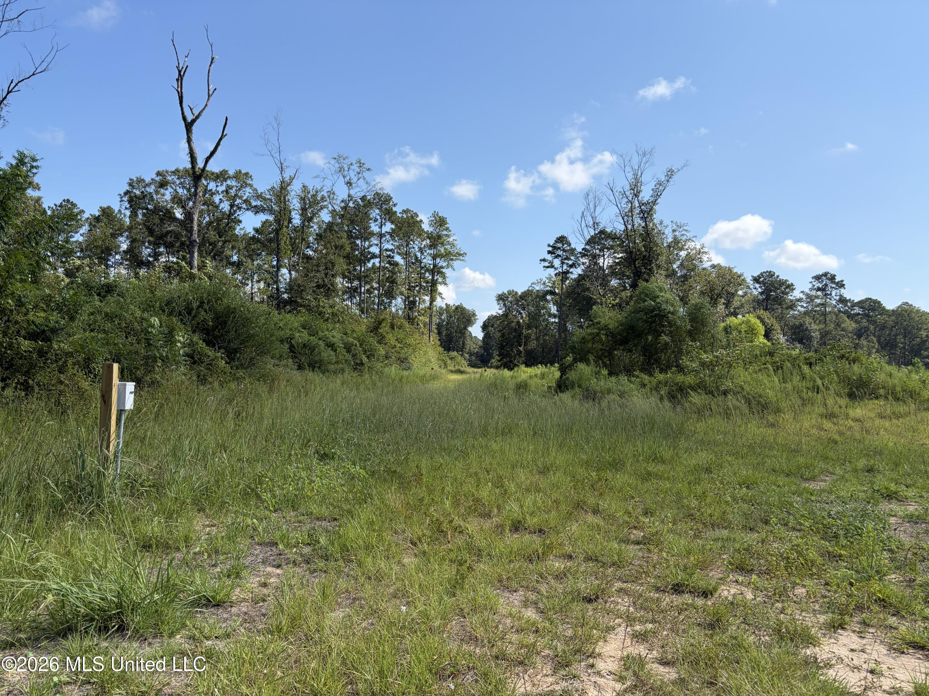 8127 Magnolia Holmesville Road Property Photo 5