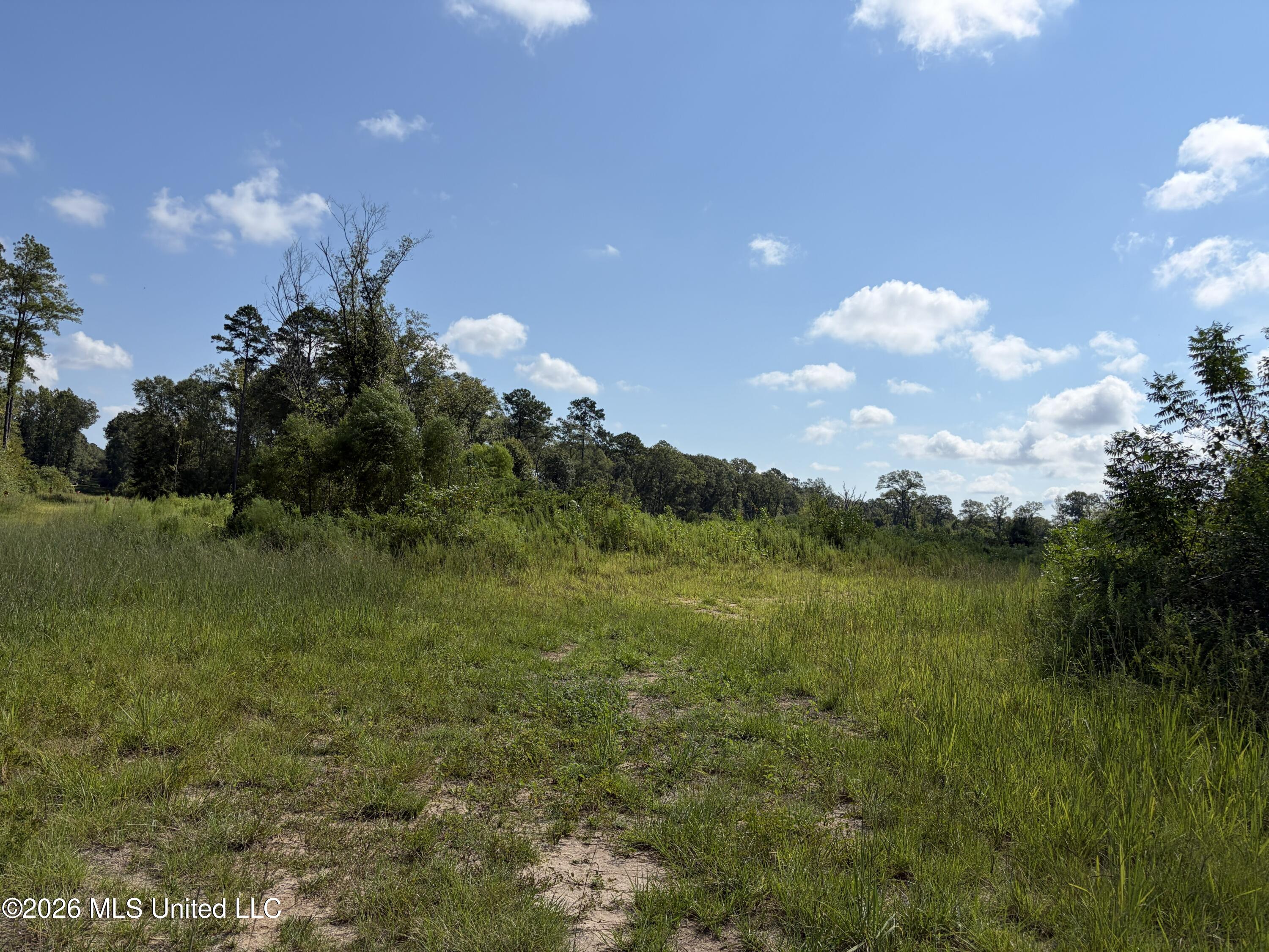 8127 Magnolia Holmesville Road Property Photo 6