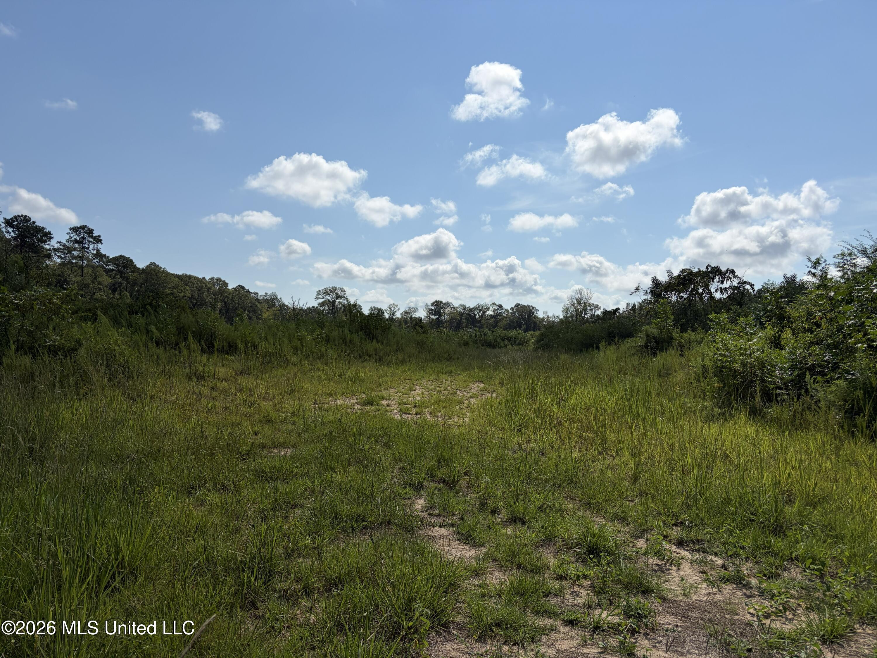 8127 Magnolia Holmesville Road Property Photo 7