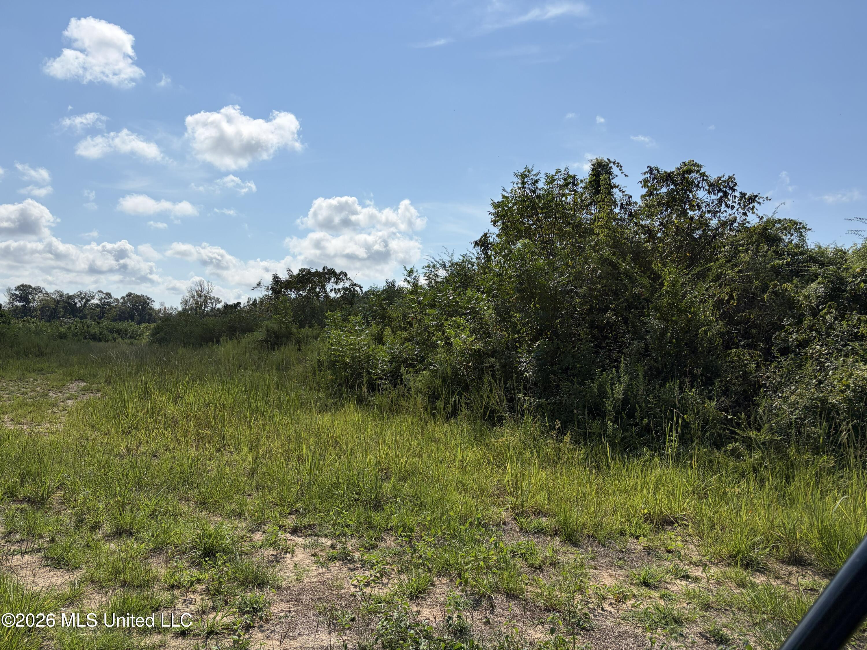 8127 Magnolia Holmesville Road Property Photo 8