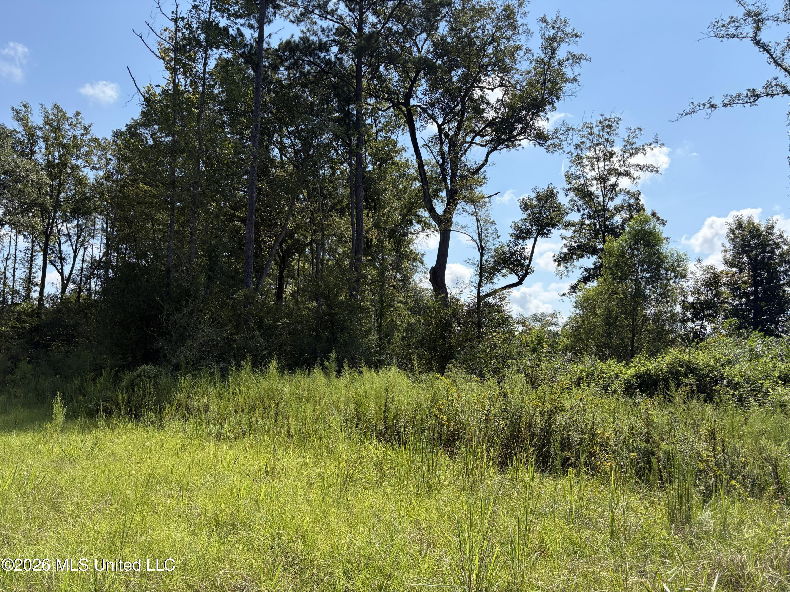 8127 Magnolia Holmesville Road Property Photo 9