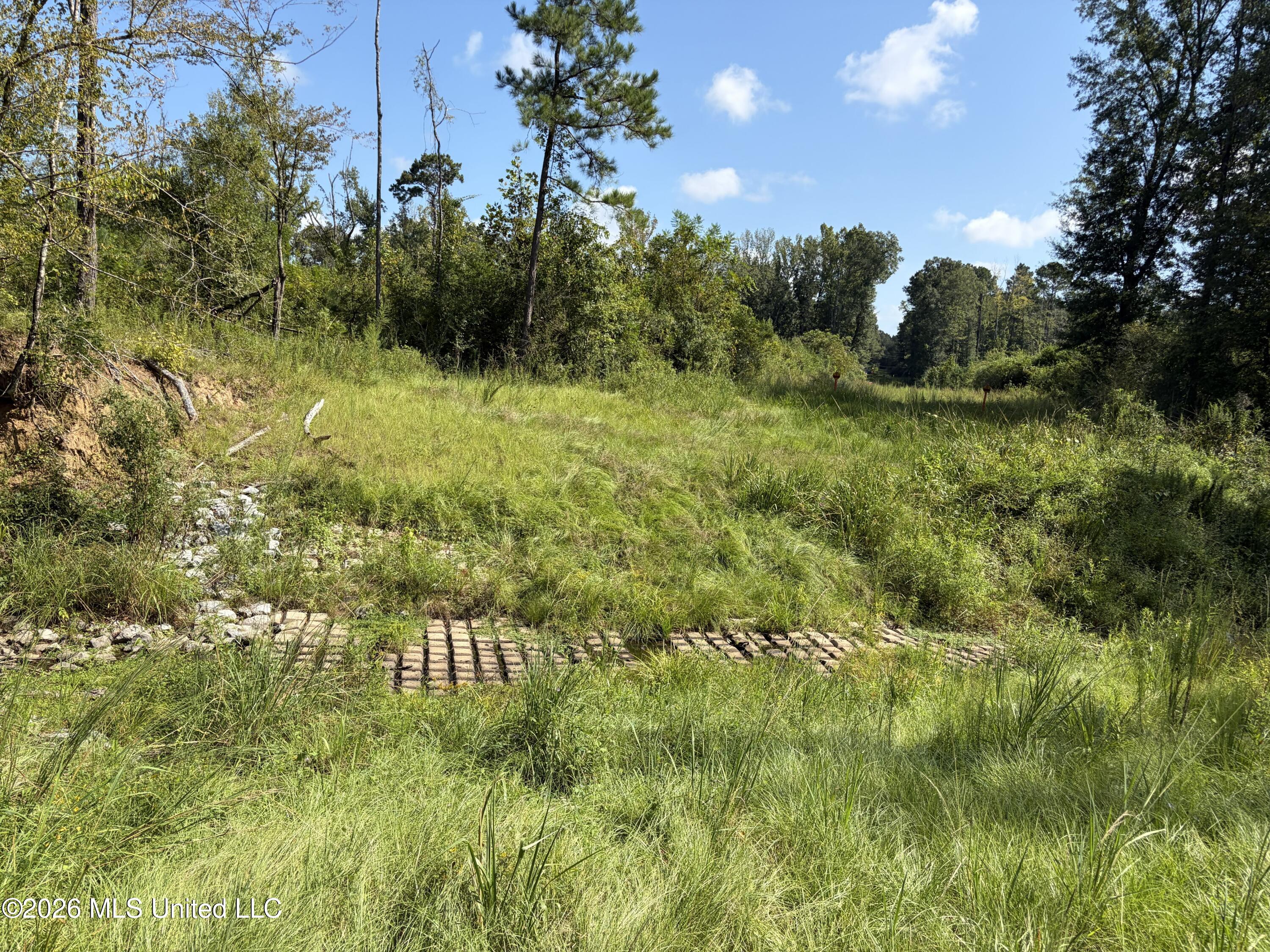 8127 Magnolia Holmesville Road Property Photo 10