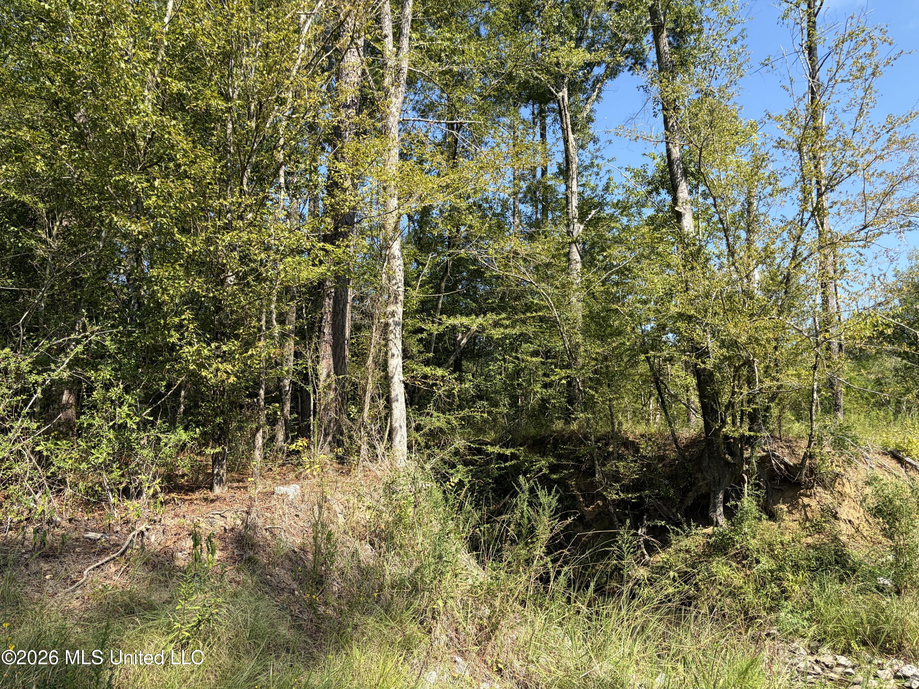 8127 Magnolia Holmesville Road Property Photo 11