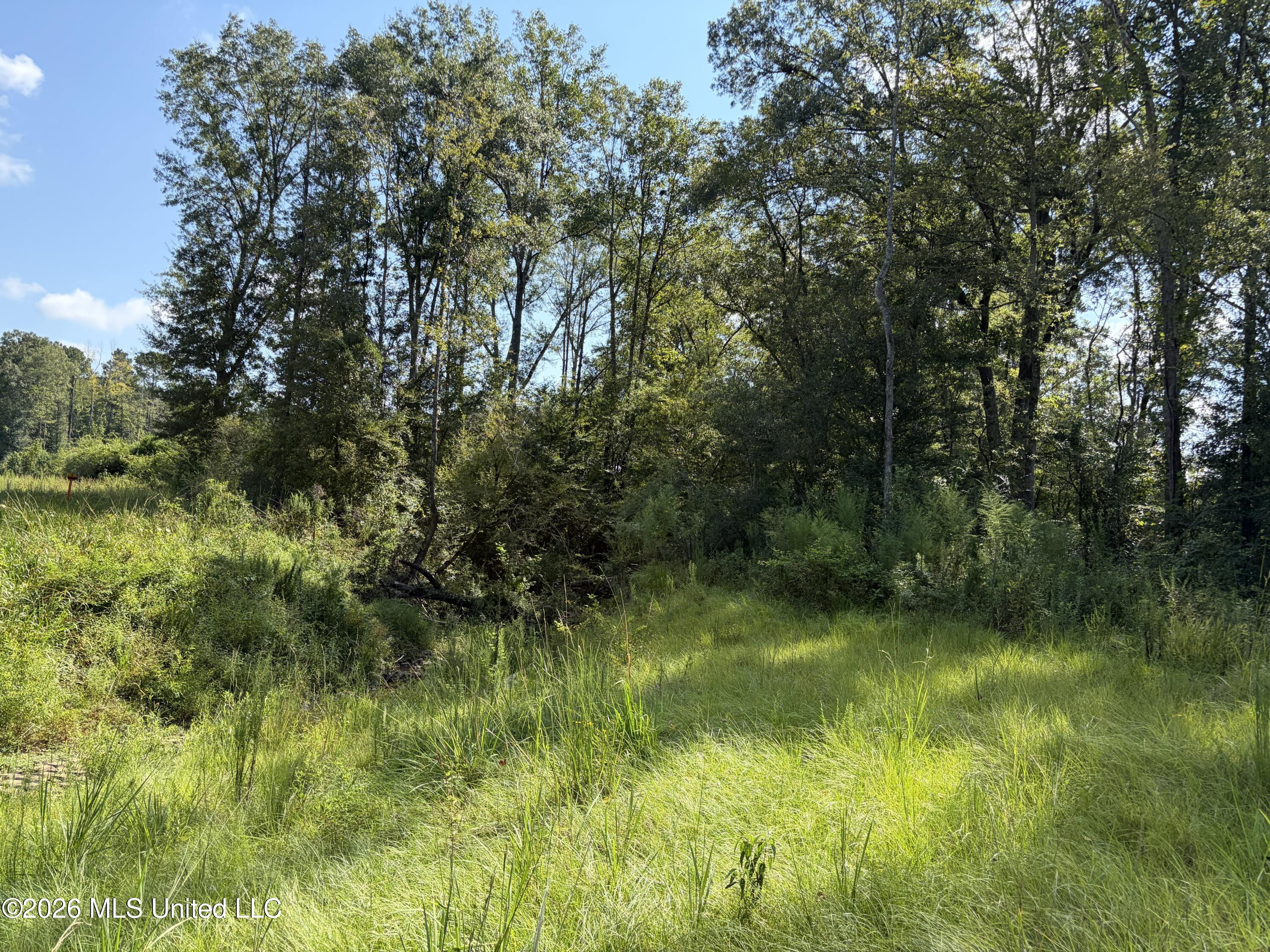 8127 Magnolia Holmesville Road Property Photo 12