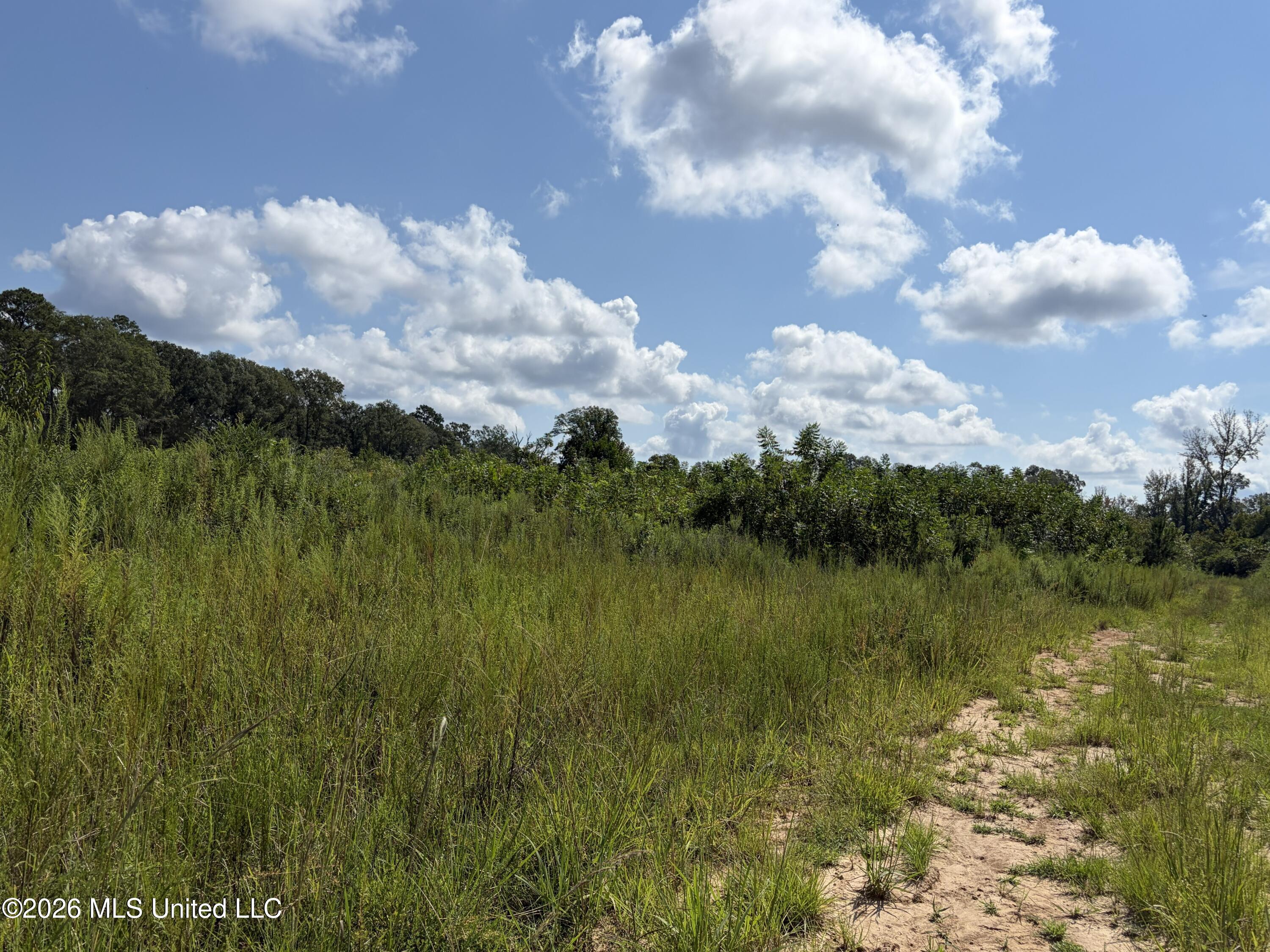 8127 Magnolia Holmesville Road Property Photo 16