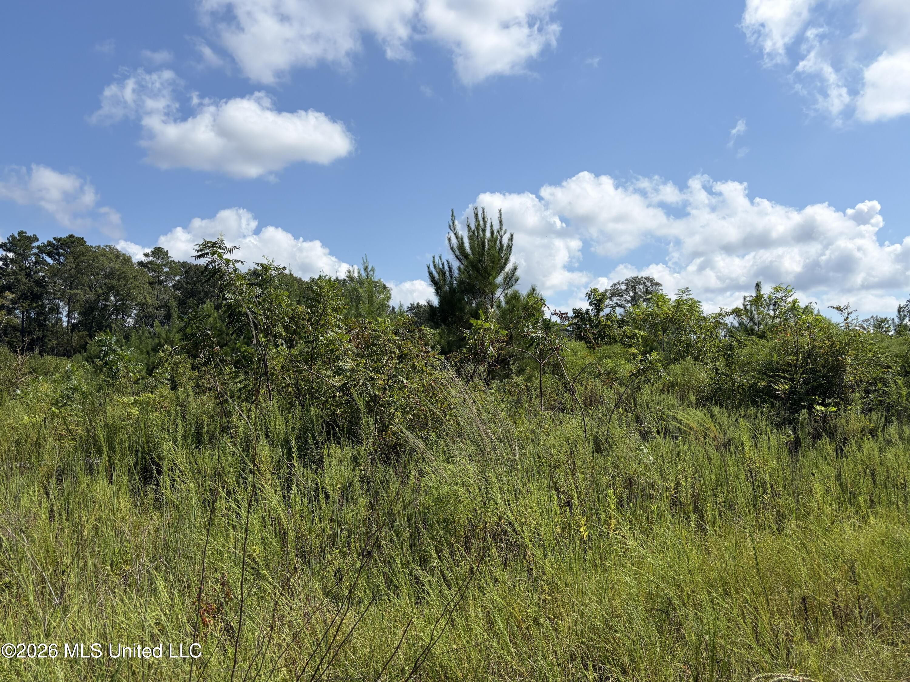8127 Magnolia Holmesville Road Property Photo 18