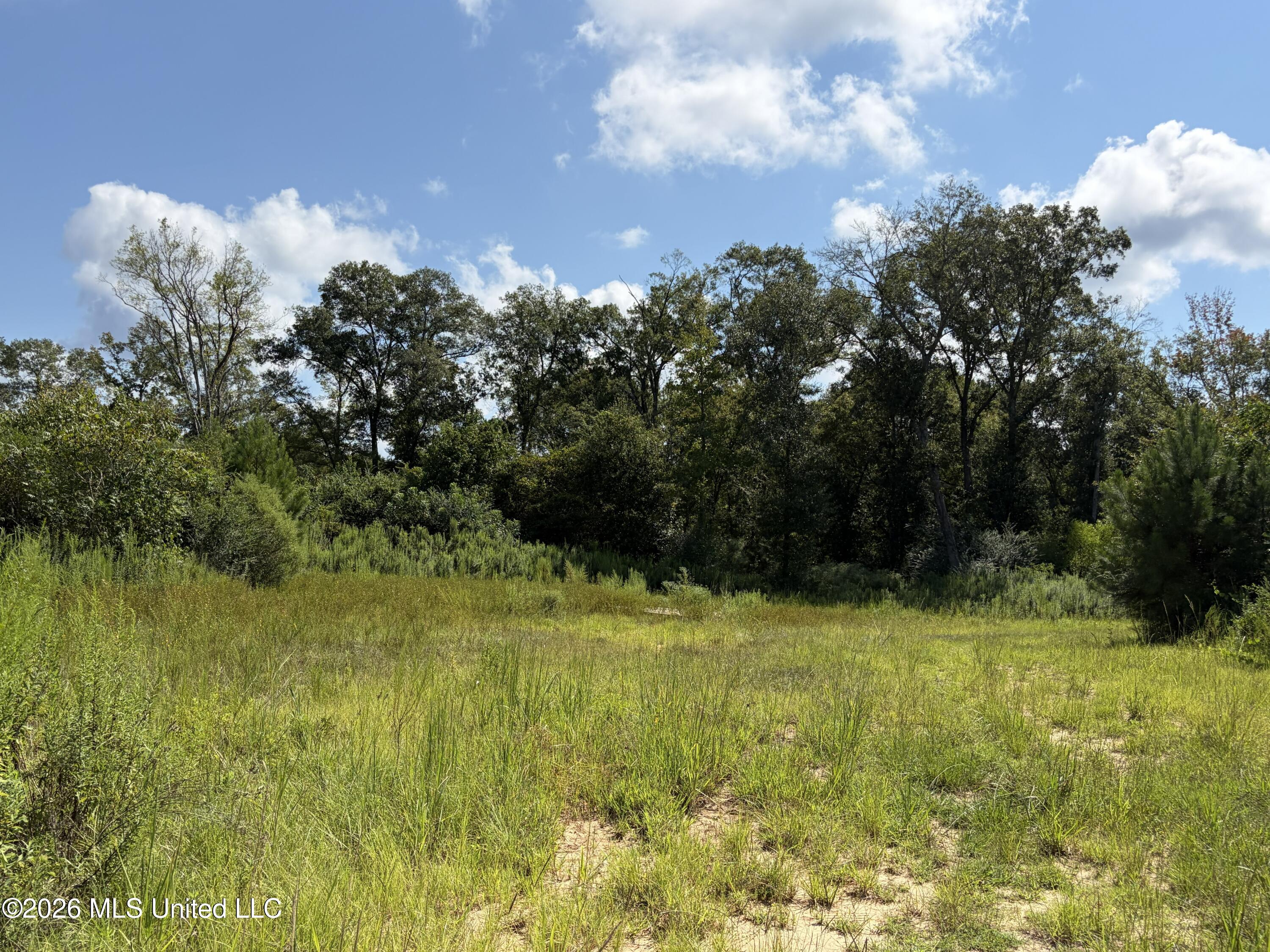 8127 Magnolia Holmesville Road Property Photo 19