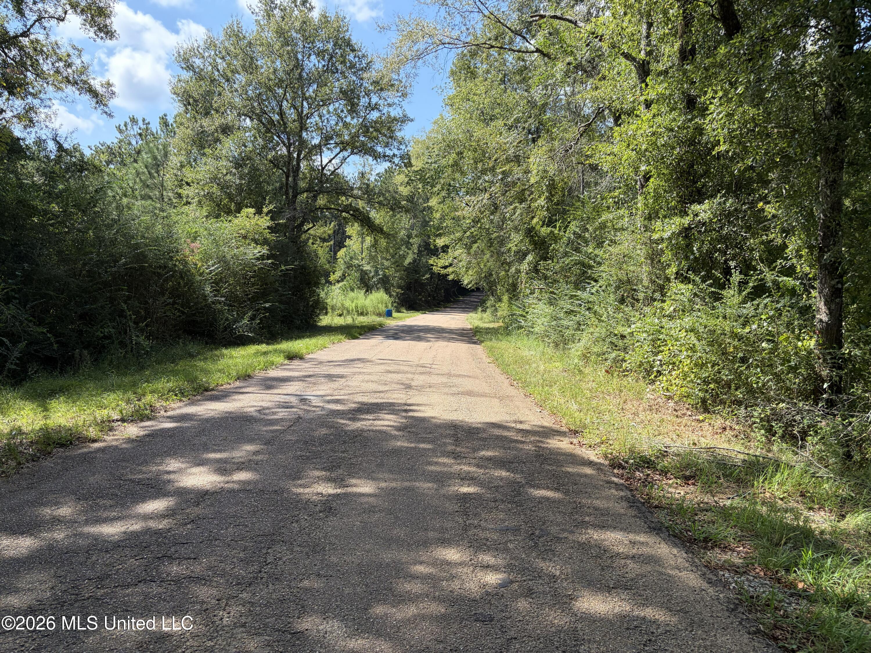 8127 Magnolia Holmesville Road Property Photo 20