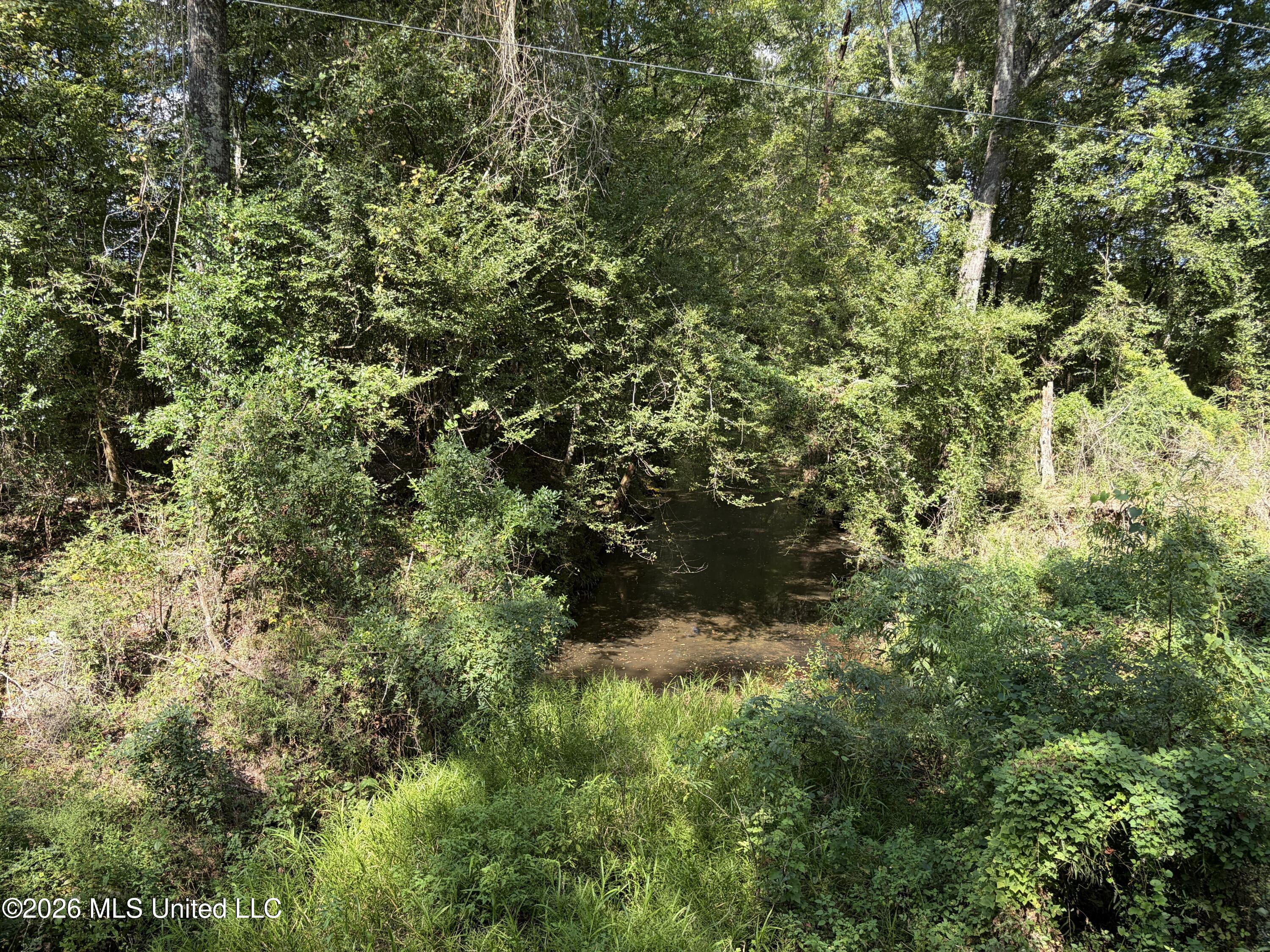 8127 Magnolia Holmesville Road Property Photo 22