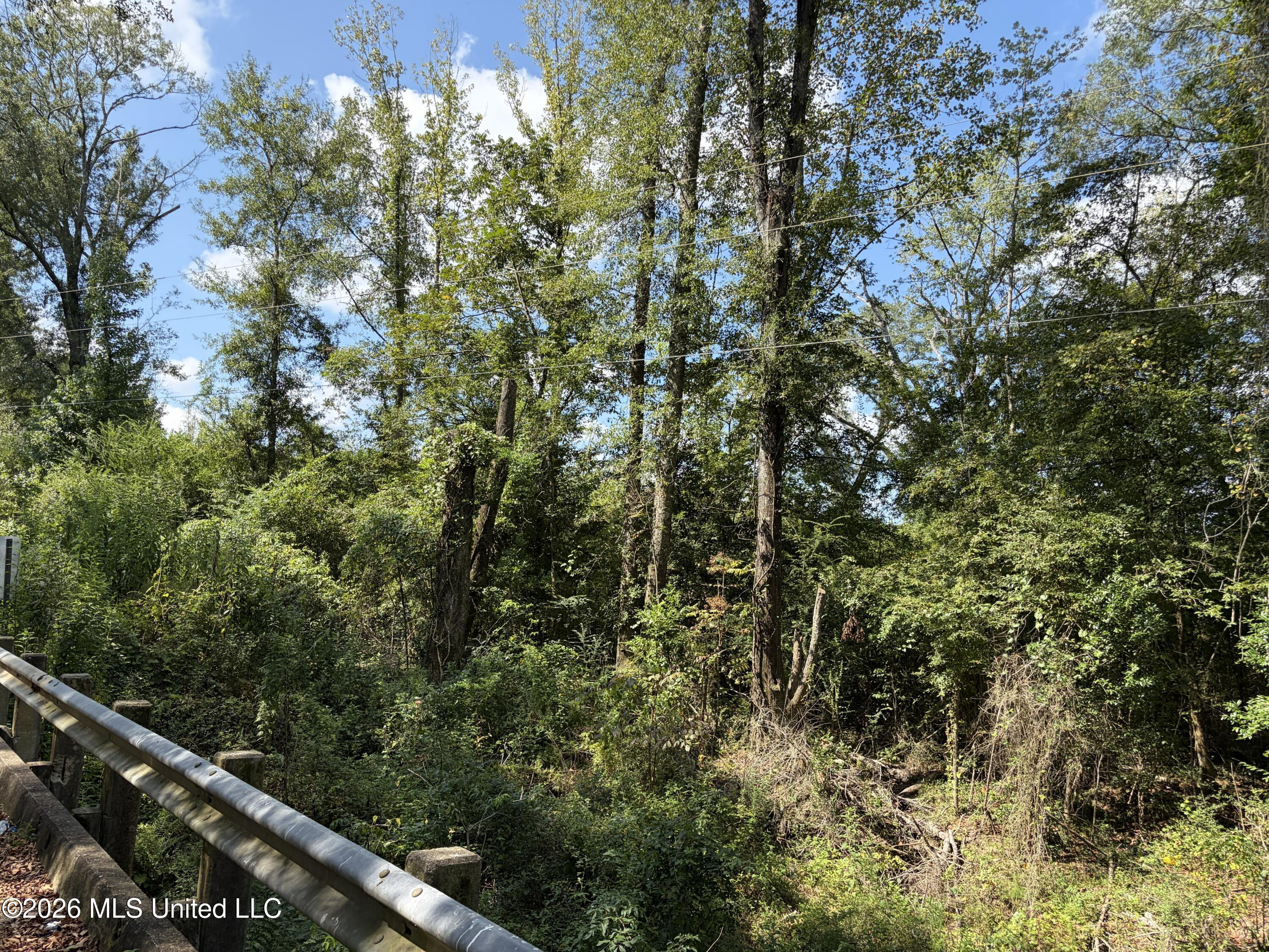 8127 Magnolia Holmesville Road Property Photo 23