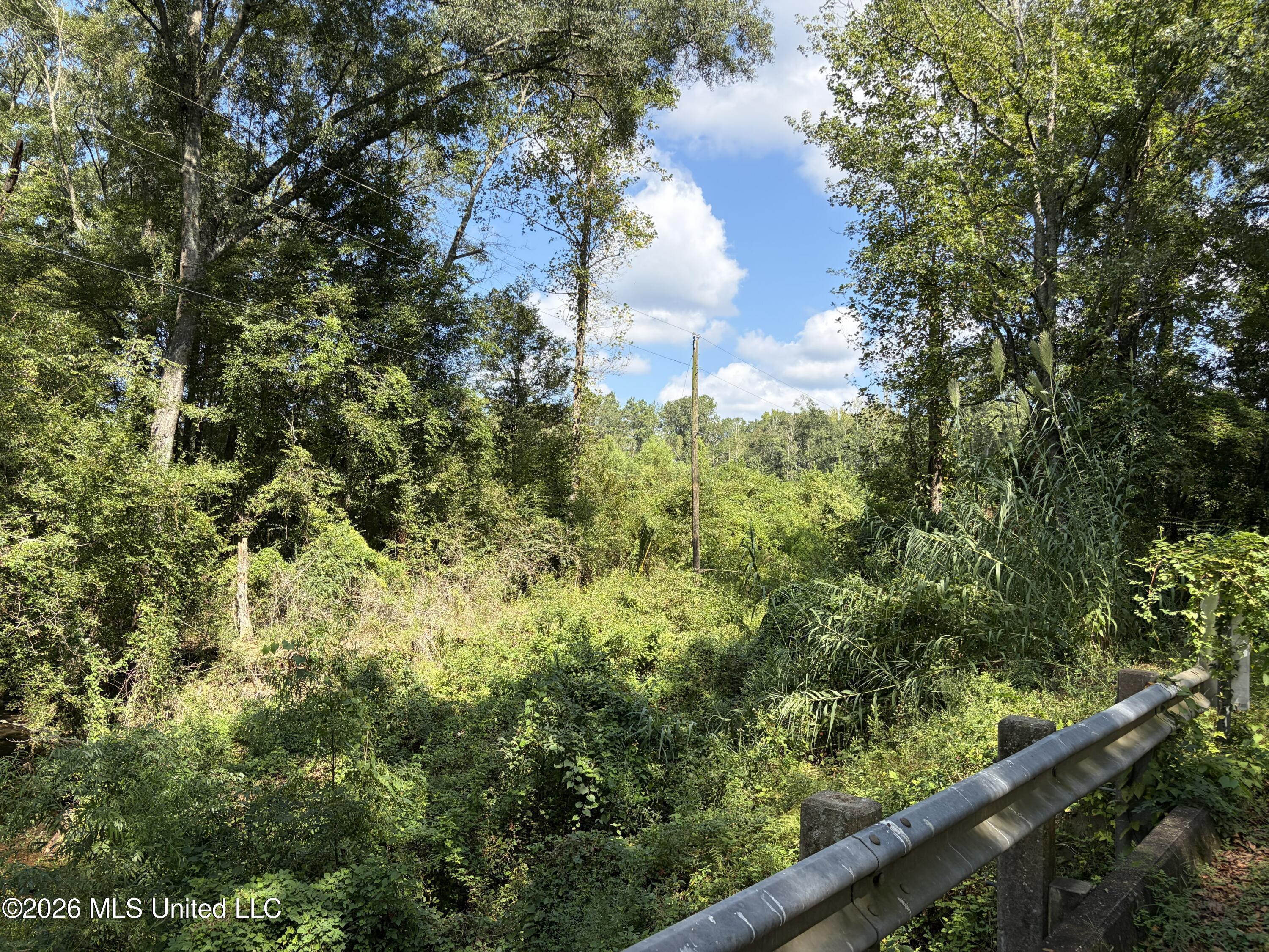 8127 Magnolia Holmesville Road Property Photo 24