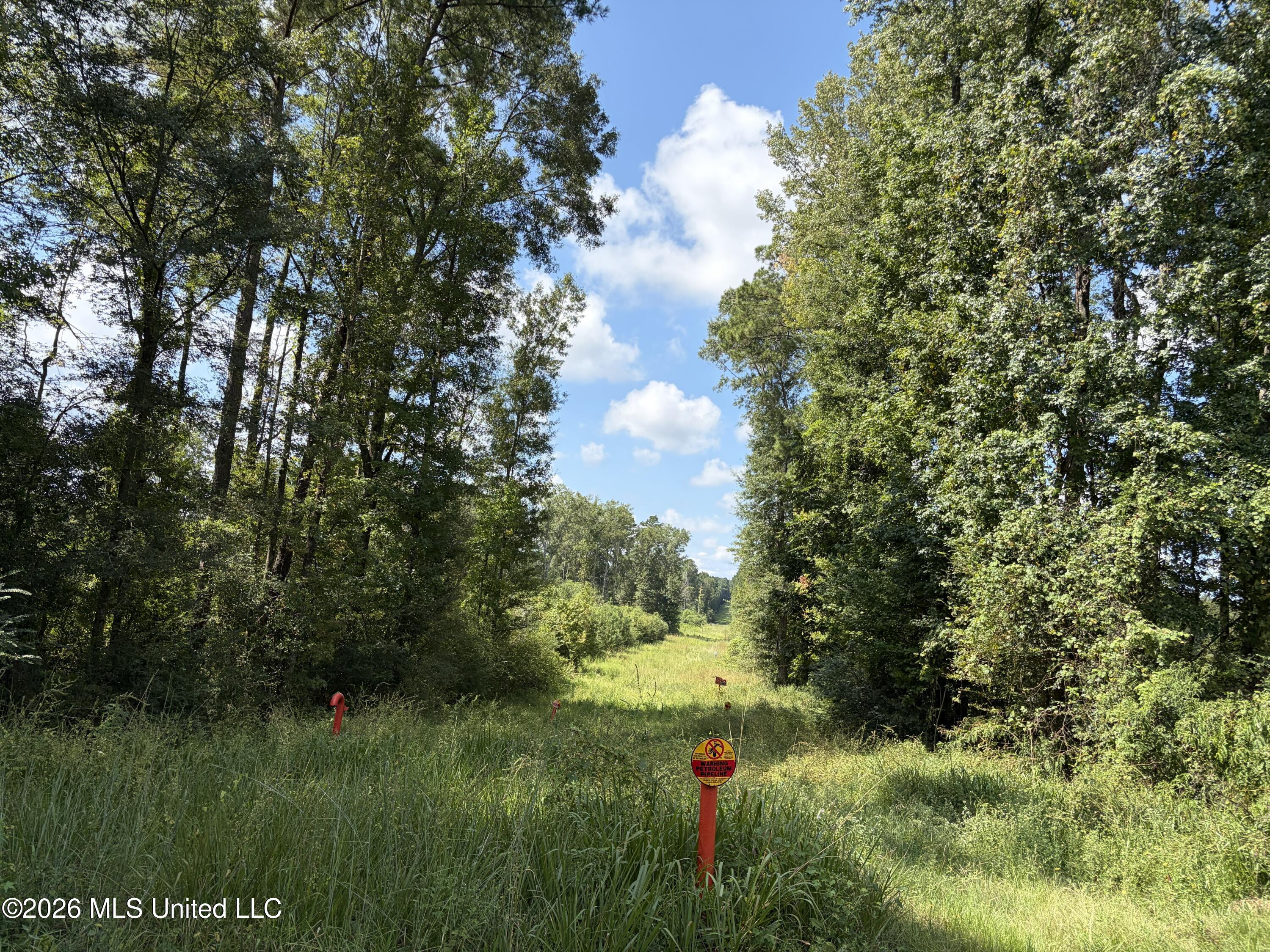 8127 Magnolia Holmesville Road Property Photo 26