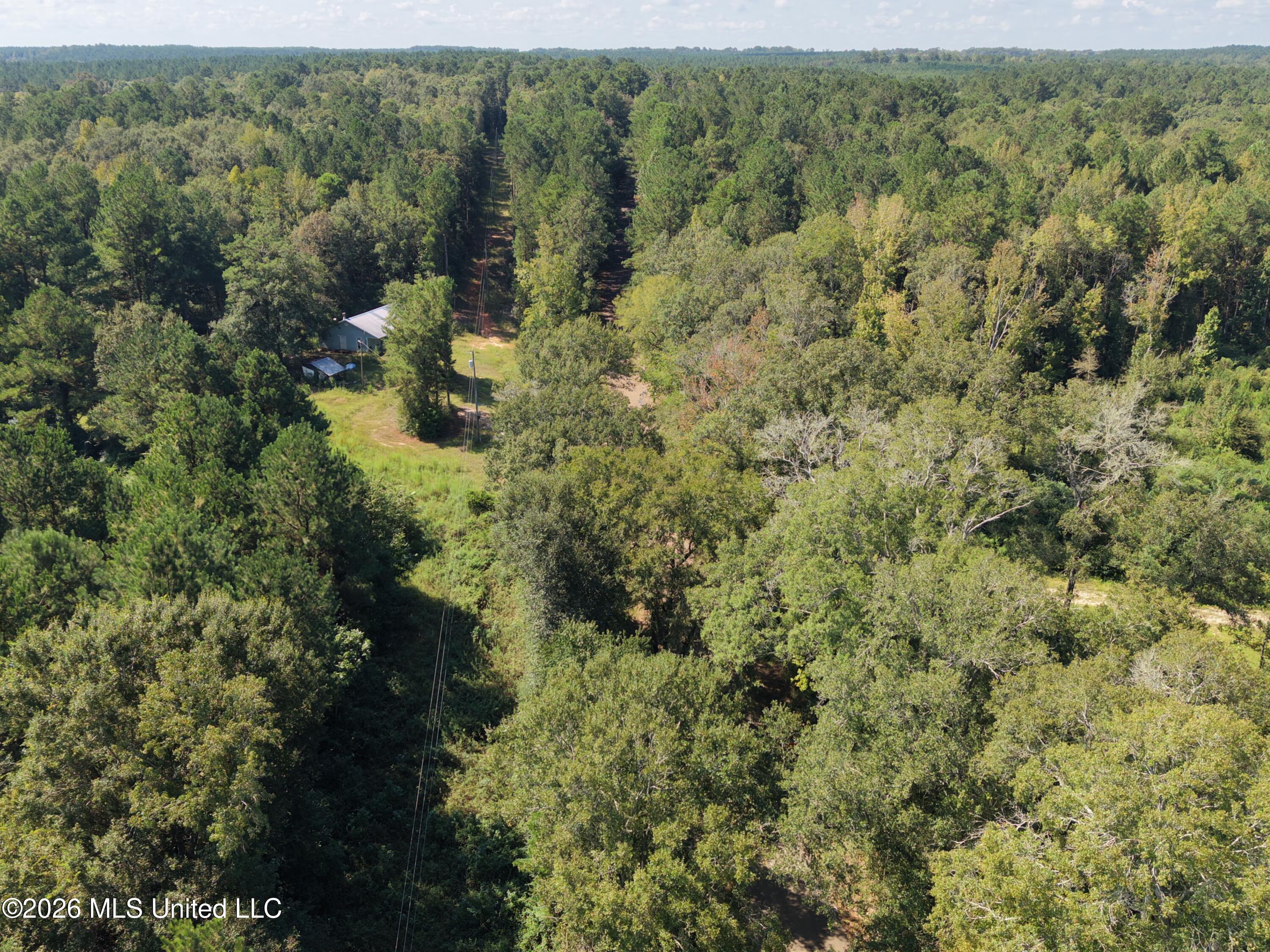 8127 Magnolia Holmesville Road Property Photo 37